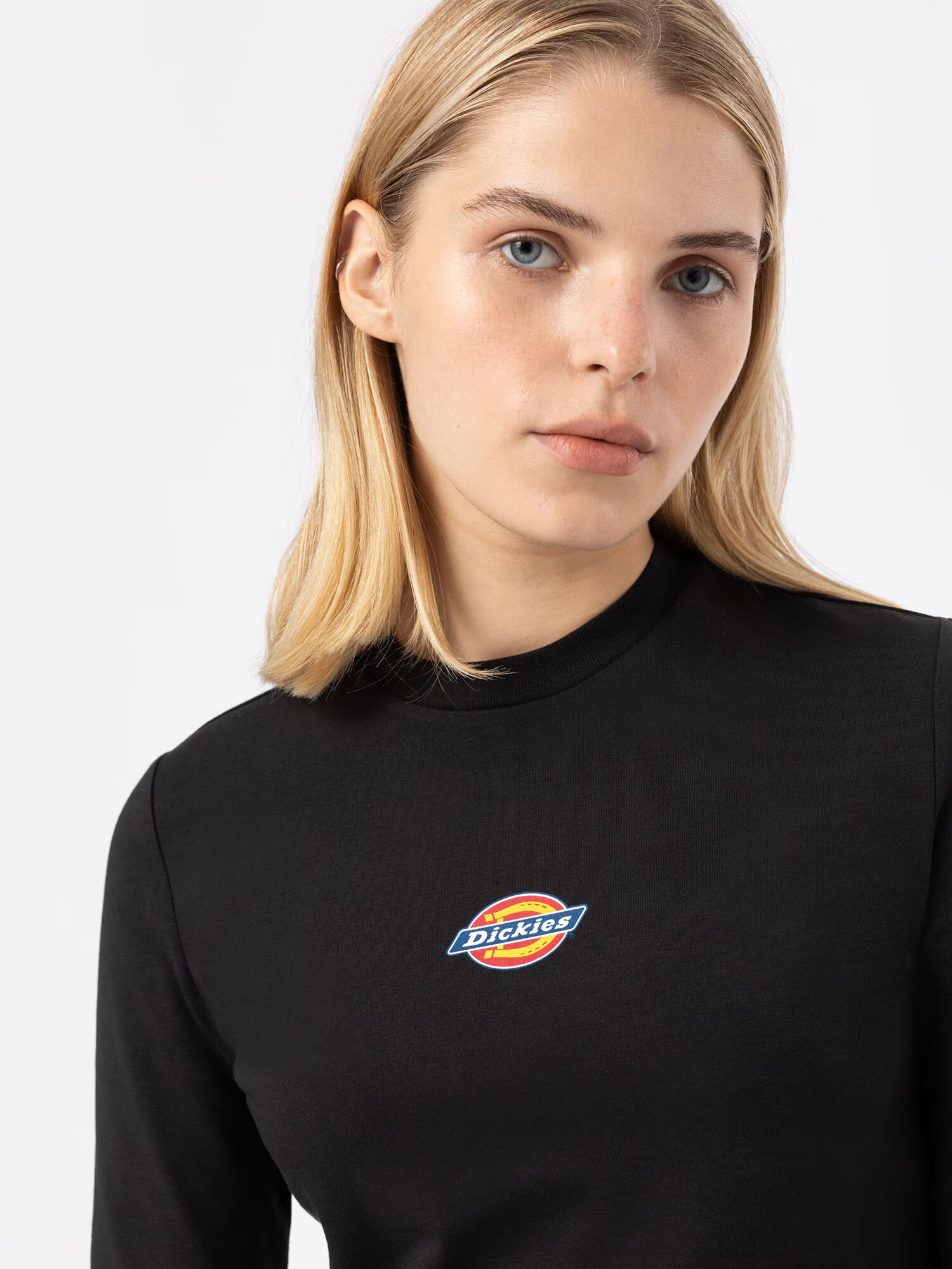 DICKIES Tričko 'MAPLE VALLEY' modrá / žltá / červená / čierna / biela - Pepit.sk