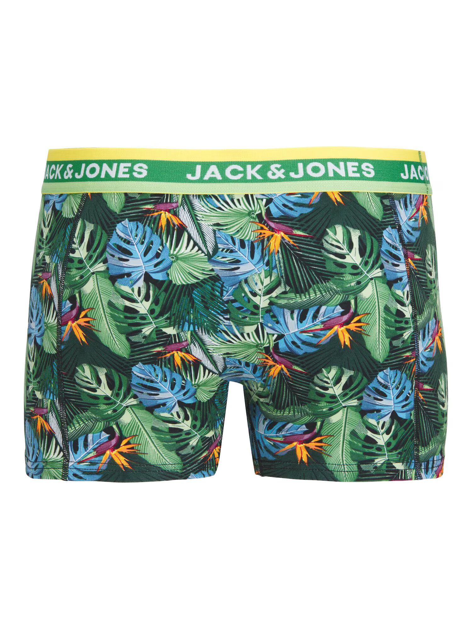 JACK & JONES Boxerky 'Miami' svetlomodrá / trávovo zelená / tmavozelená / čierna - Pepit.sk