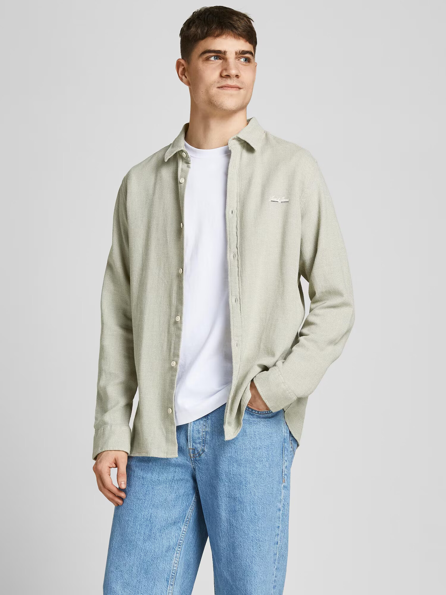 JACK & JONES Košeľa 'TONS' pastelovo zelená / biela - Pepit.sk