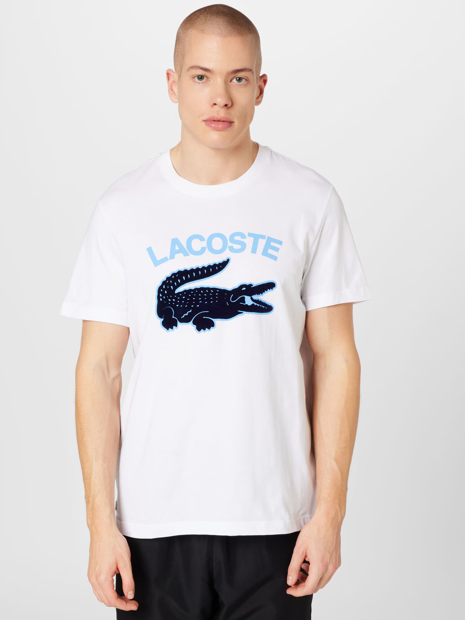 LACOSTE Tričko pastelovo modrá / čierna / biela - Pepit.sk