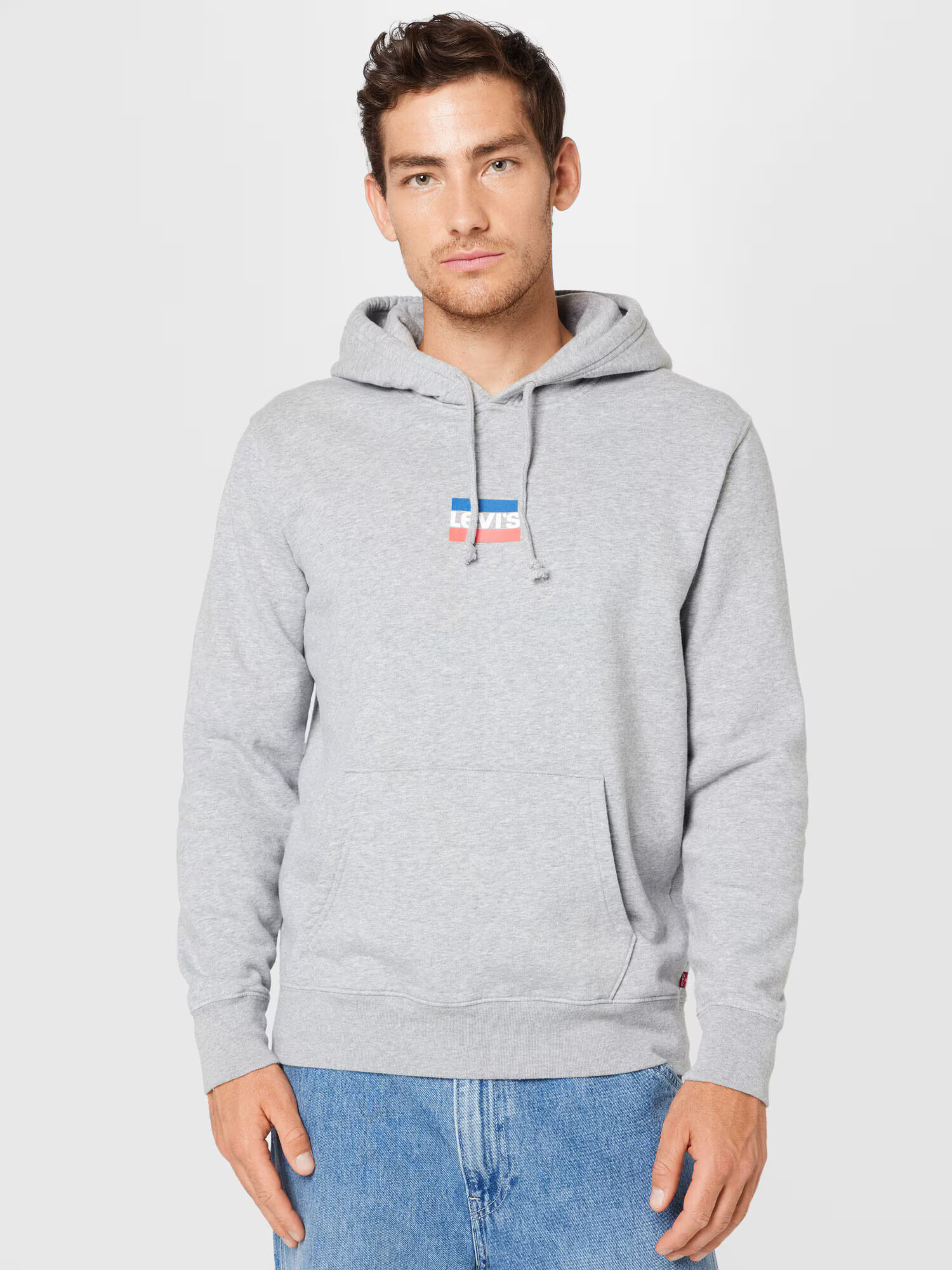 LEVI'S Mikina 'STANDARD GRAPHIC HOODIE MULTI-COLOR' modrá / sivá melírovaná / červená / biela - Pepit.sk