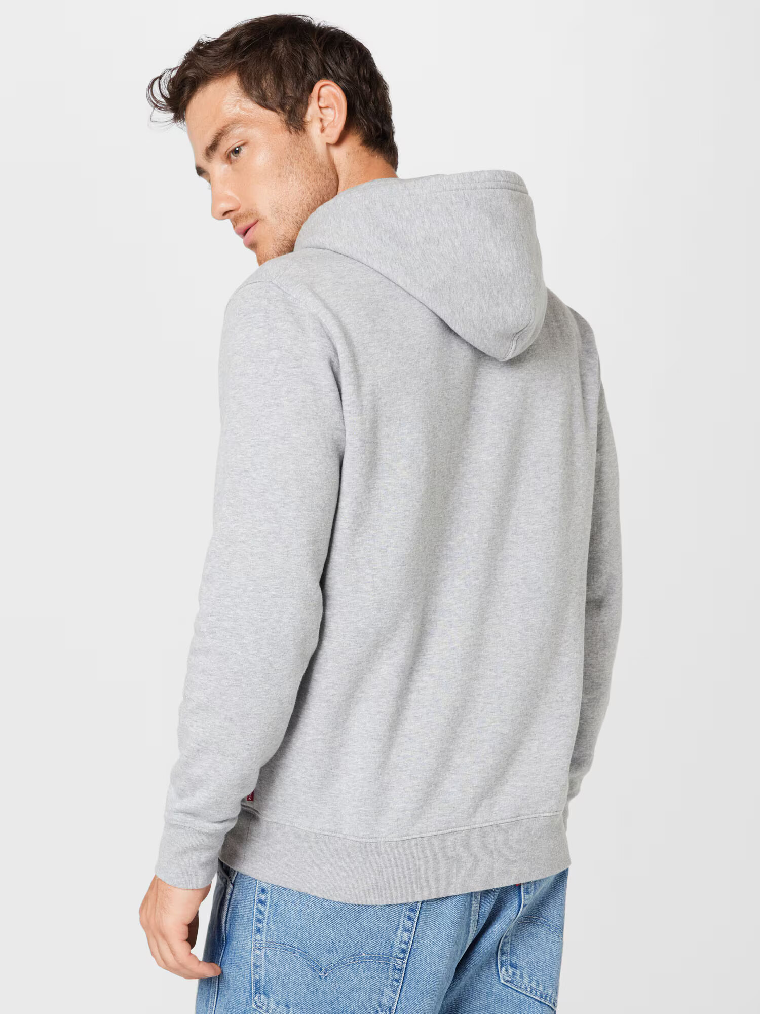 LEVI'S Mikina 'STANDARD GRAPHIC HOODIE MULTI-COLOR' modrá / sivá melírovaná / červená / biela - Pepit.sk