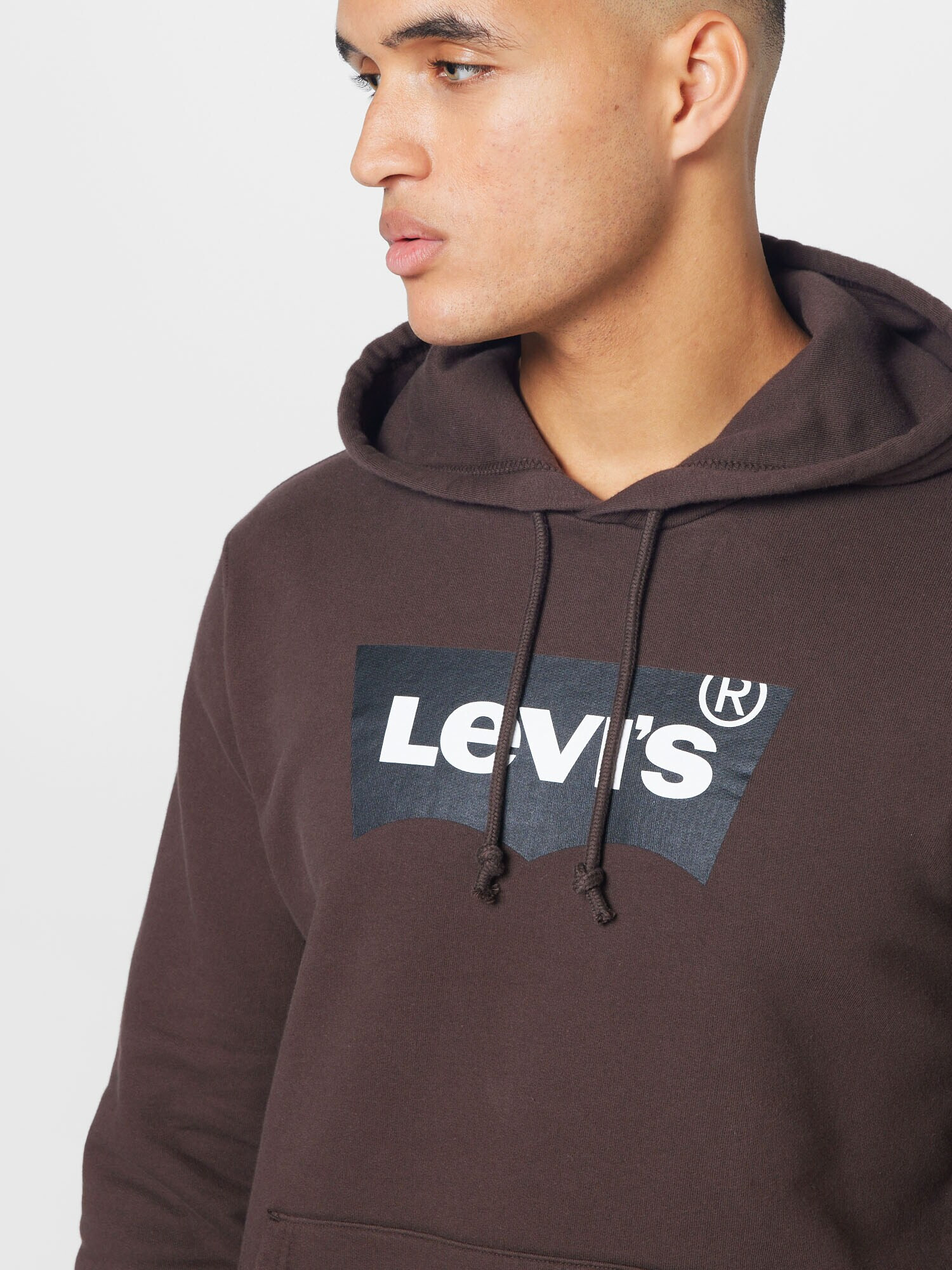 LEVI'S Mikina 'STANDARD GRAPHIC HOODIE MULTI-COLOR' námornícka modrá / tmavohnedá / biela - Pepit.sk