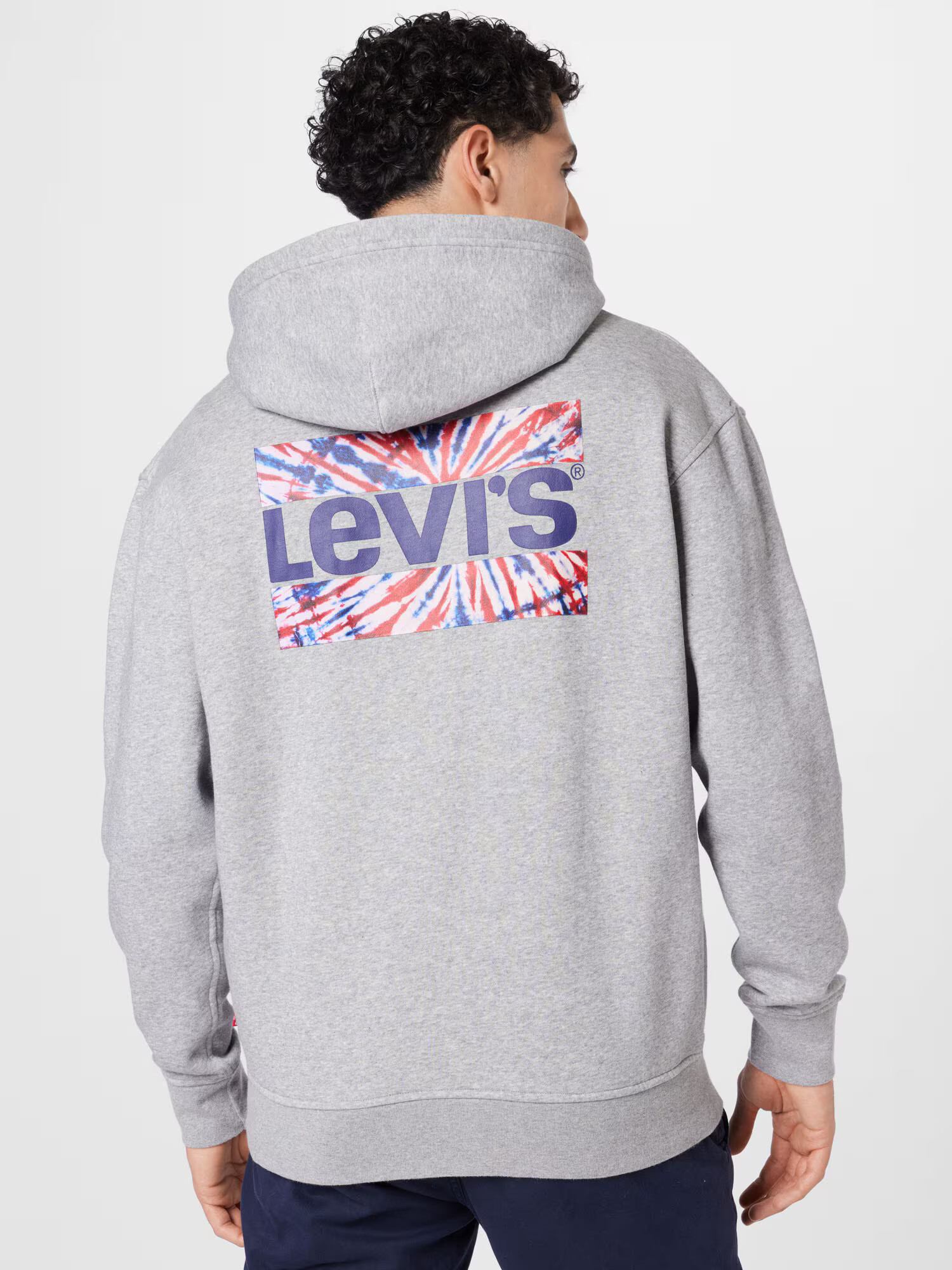 LEVI'S Tepláková bunda 'RELAXED GRAPHIC ZIPUP GREYS' modrá / sivá / červená / biela - Pepit.sk