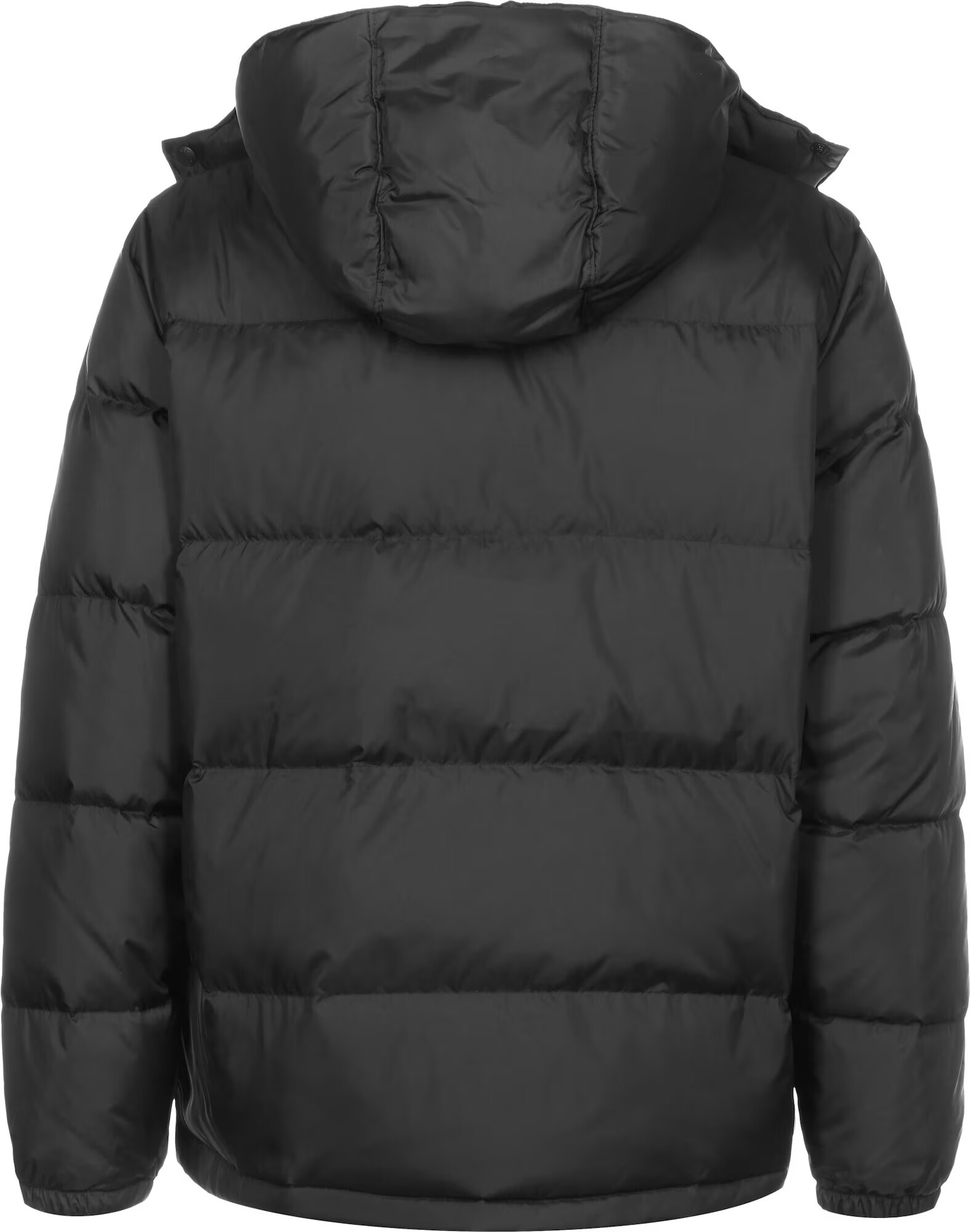 LEVI'S Zimná bunda 'HOODED FILLMORE SHRT JKT BLACKS' čierna - Pepit.sk