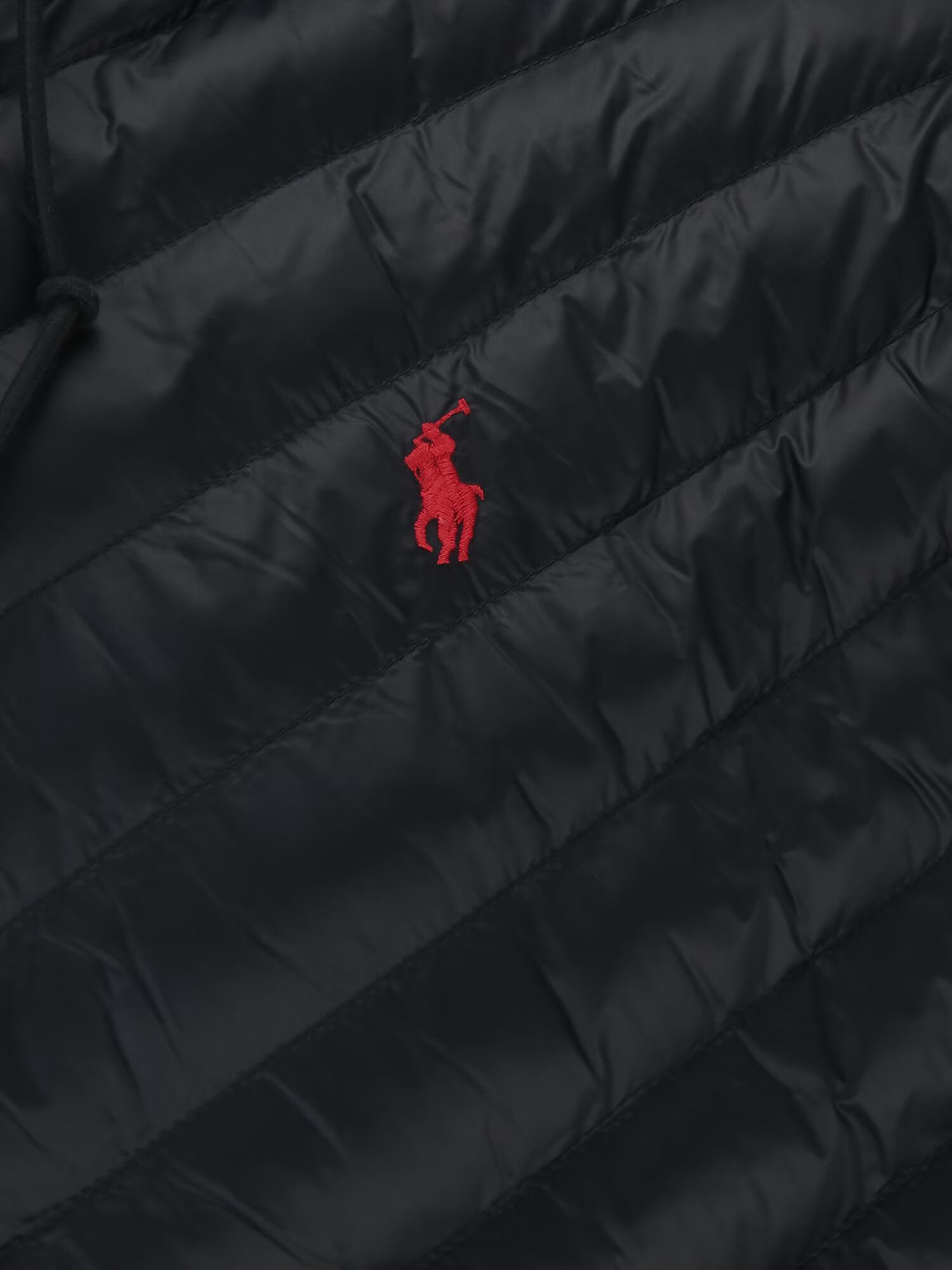 Polo Ralph Lauren Big & Tall Prechodná bunda jasne červená / čierna - Pepit.sk