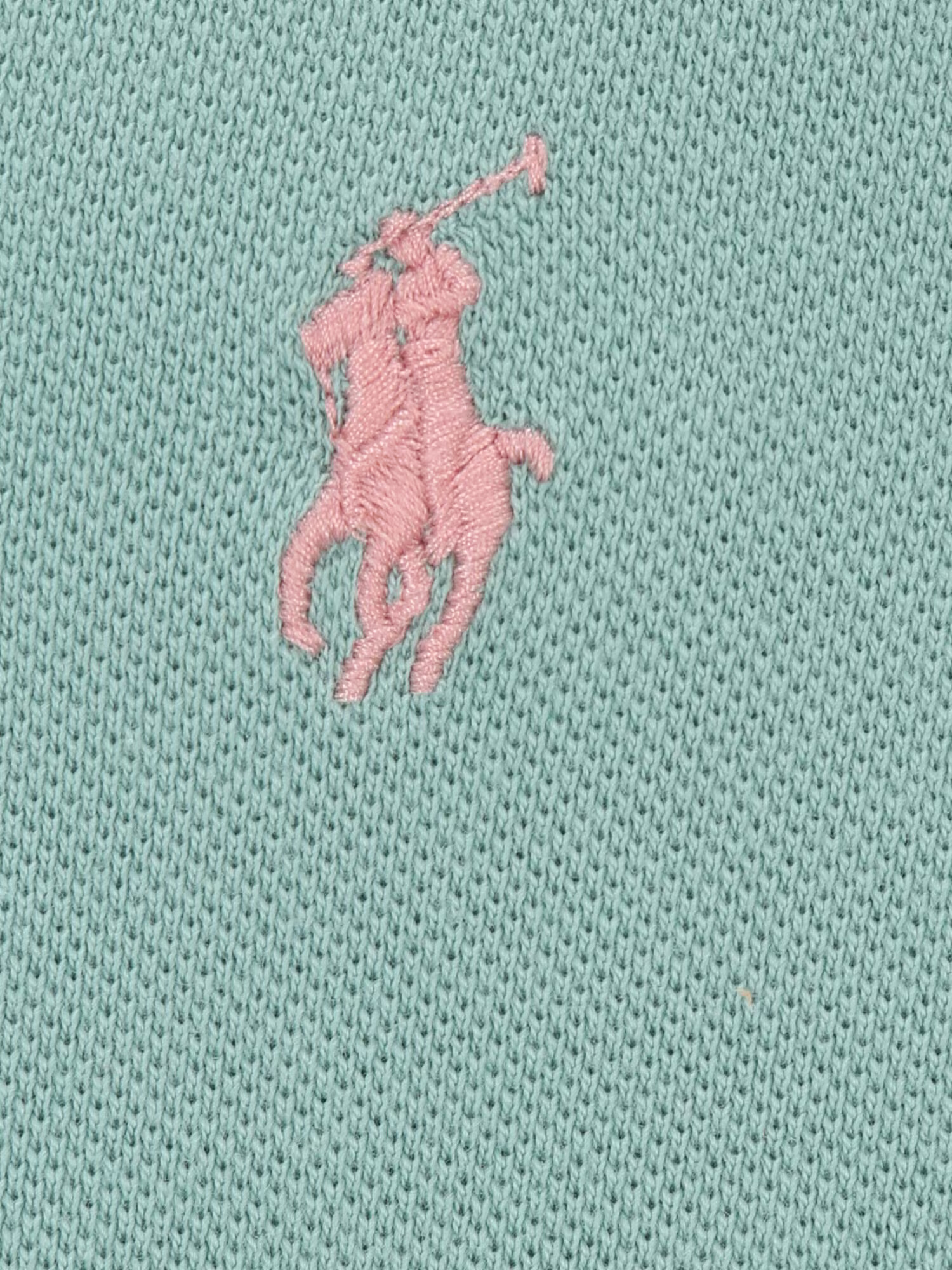 Polo Ralph Lauren Big & Tall Tričko nefritová / staroružová - Pepit.sk