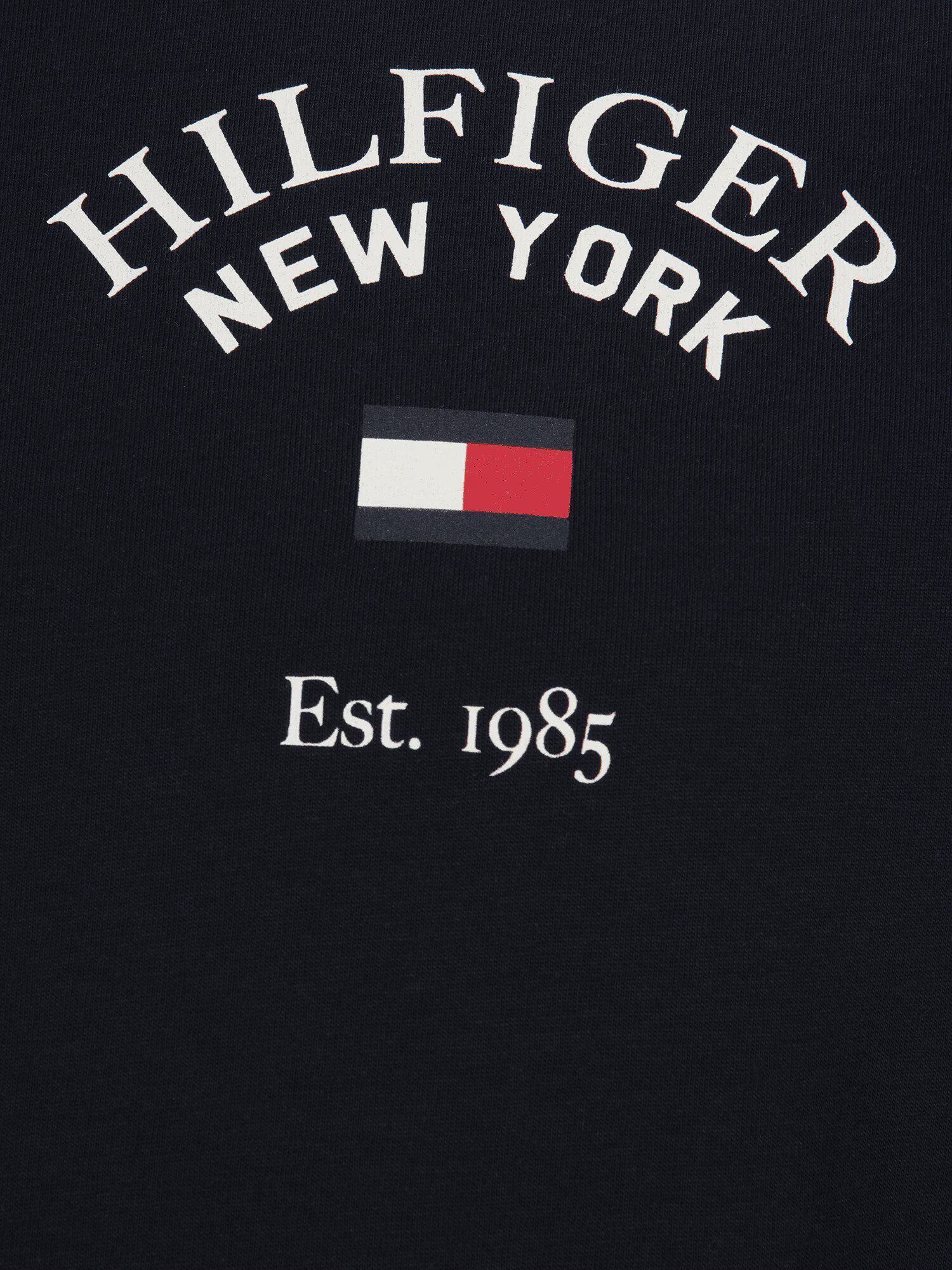 Tommy Hilfiger Big & Tall Tričko 'VARSITY' biela - Pepit.sk