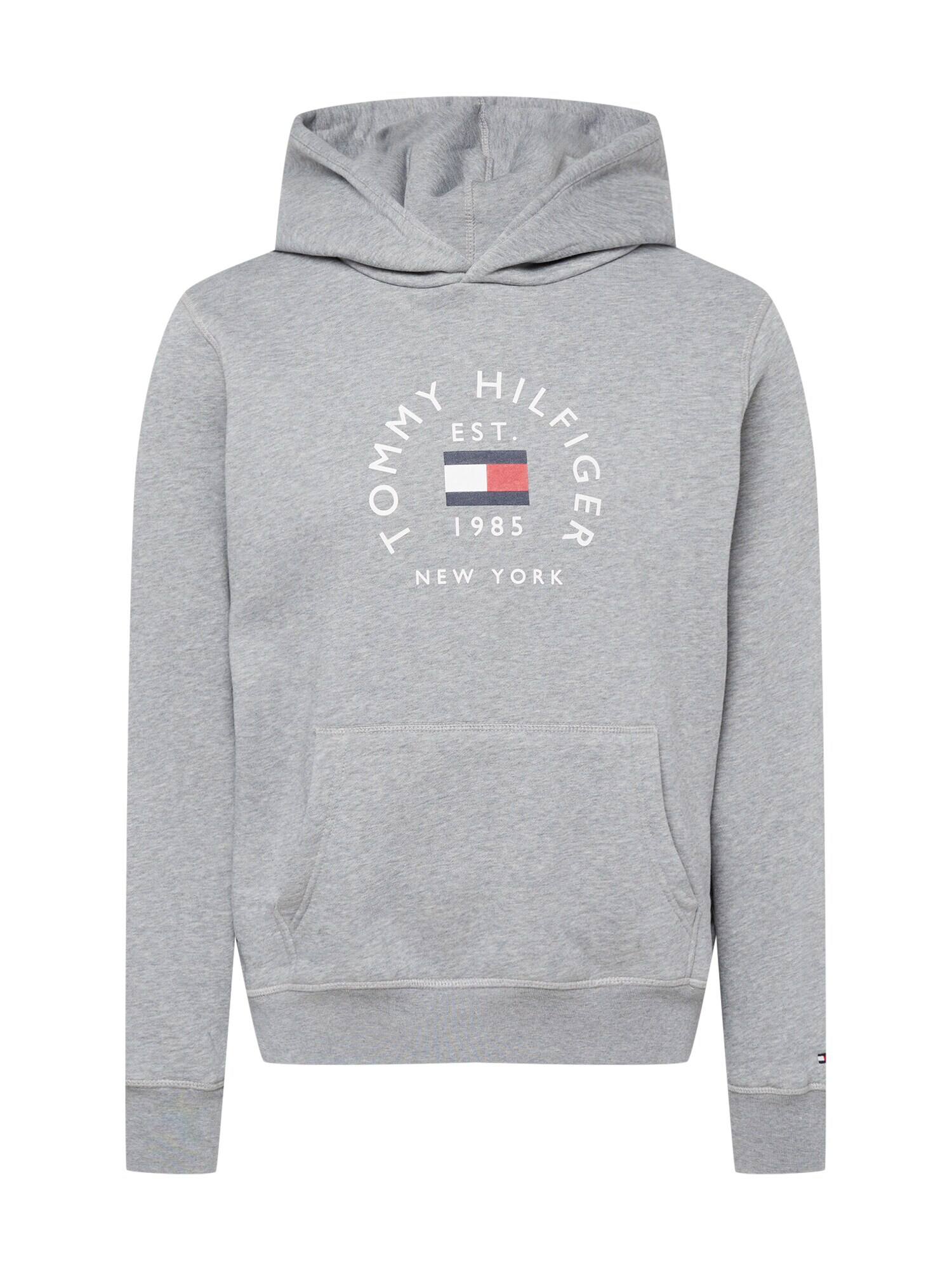 TOMMY HILFIGER Mikina námornícka modrá / sivá / červená / biela - Pepit.sk