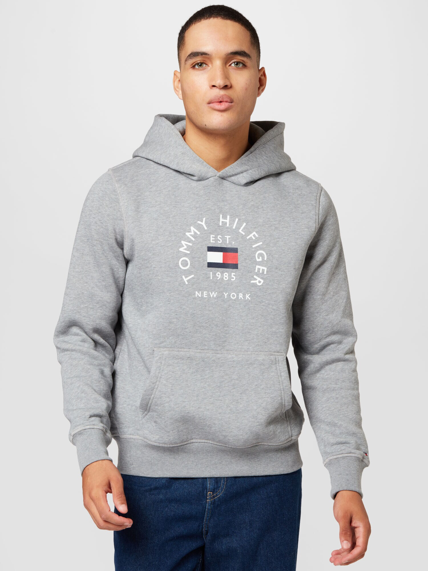 TOMMY HILFIGER Mikina námornícka modrá / sivá / červená / biela - Pepit.sk