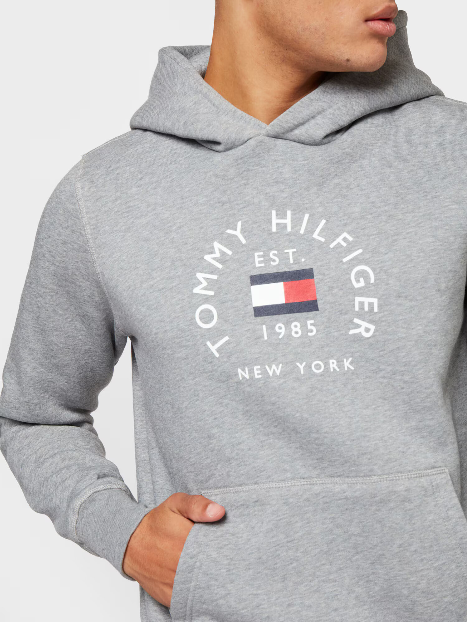 TOMMY HILFIGER Mikina námornícka modrá / sivá / červená / biela - Pepit.sk