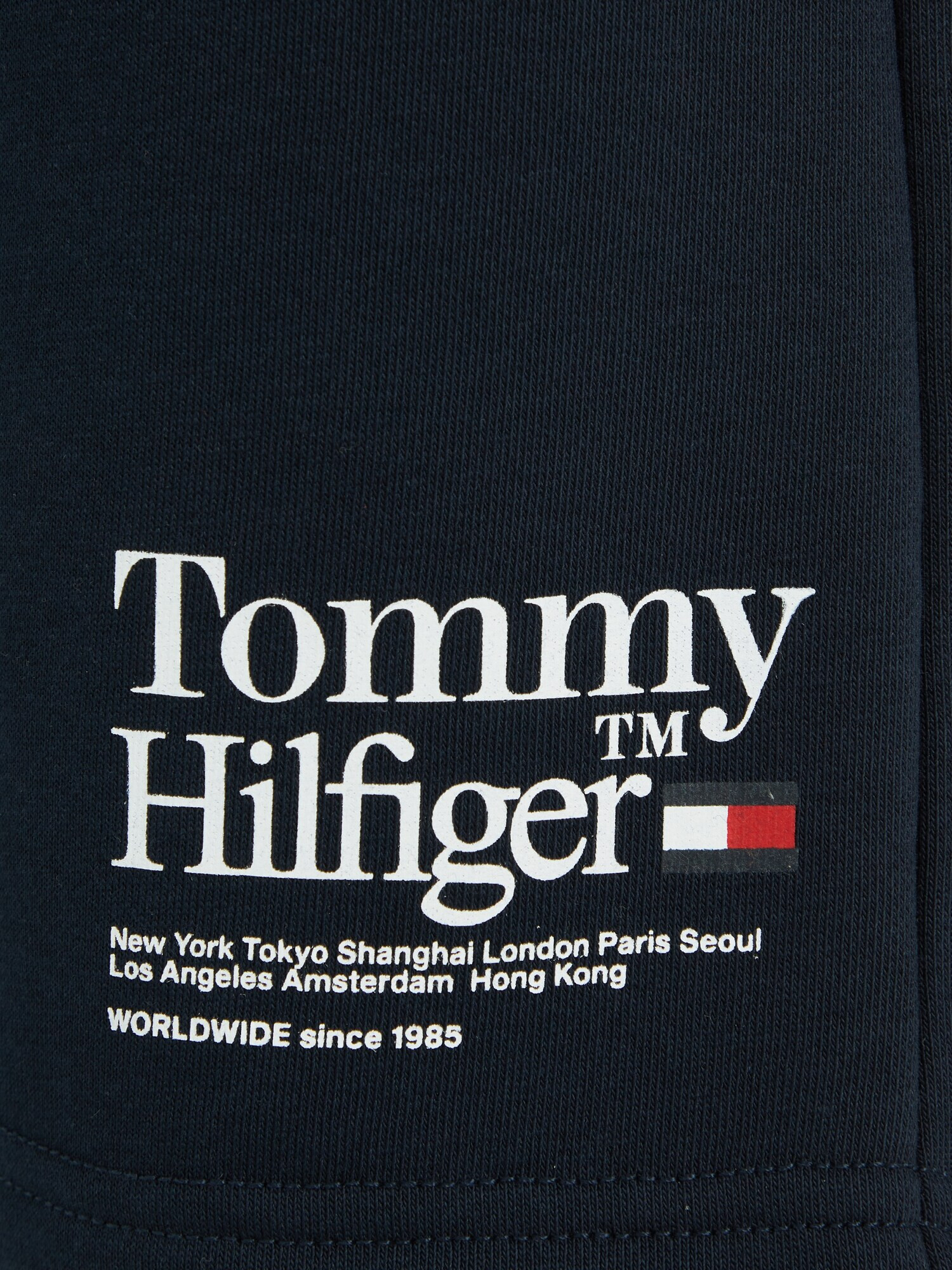 TOMMY HILFIGER Nohavice 'TIMELESS' námornícka modrá / červená / biela - Pepit.sk