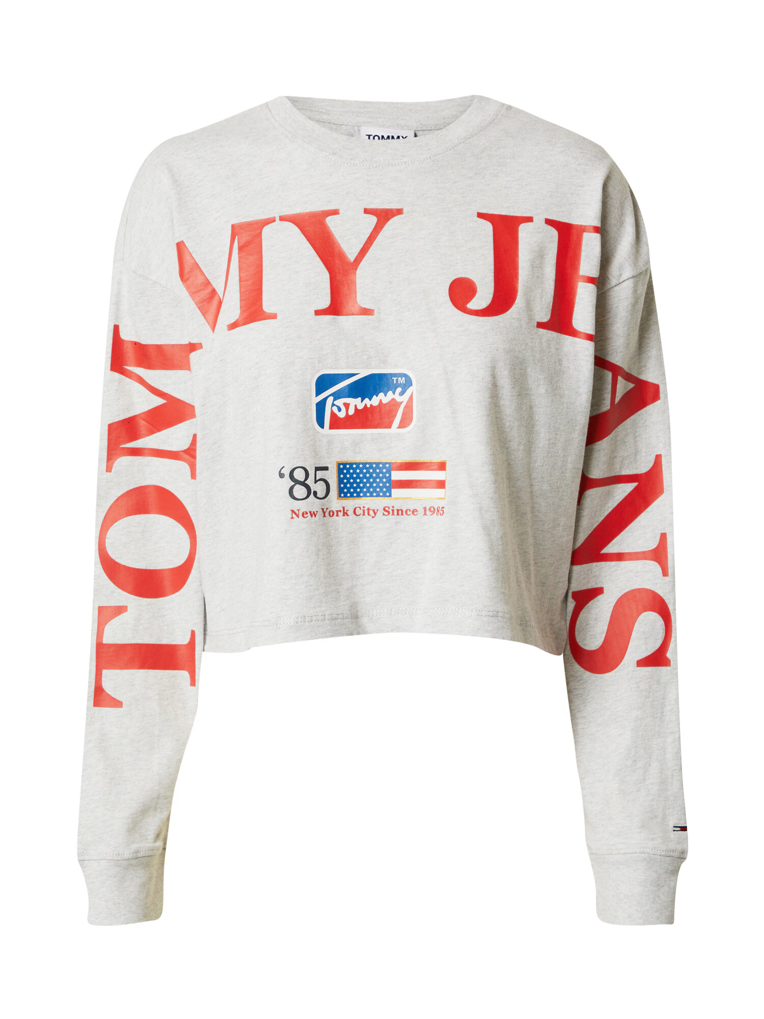 Tommy Jeans Tričko modrá / svetlosivá / svetločervená / biela - Pepit.sk