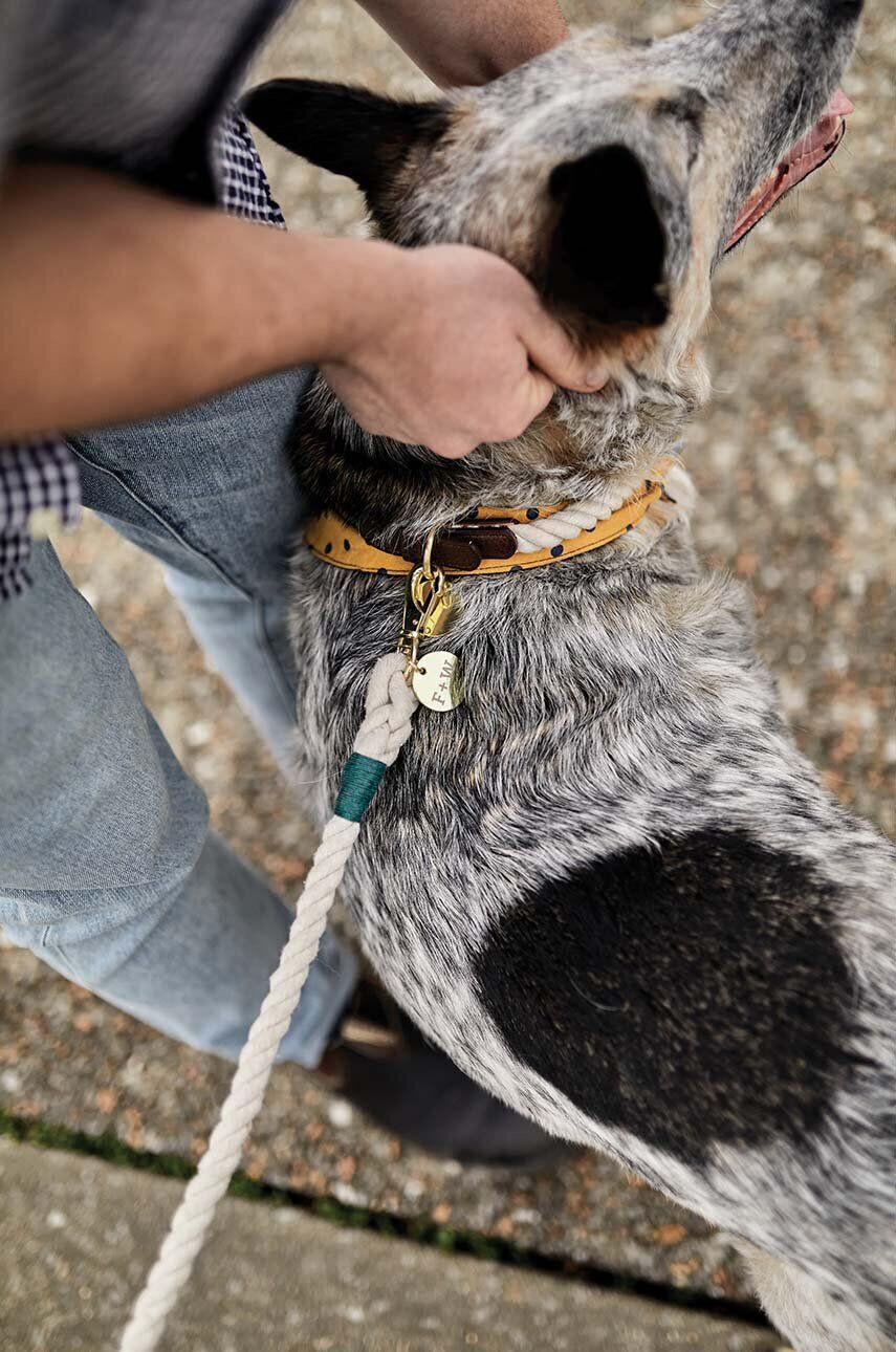 Field + Wander Obojky pre psov Dog Collar L - Pepit.sk