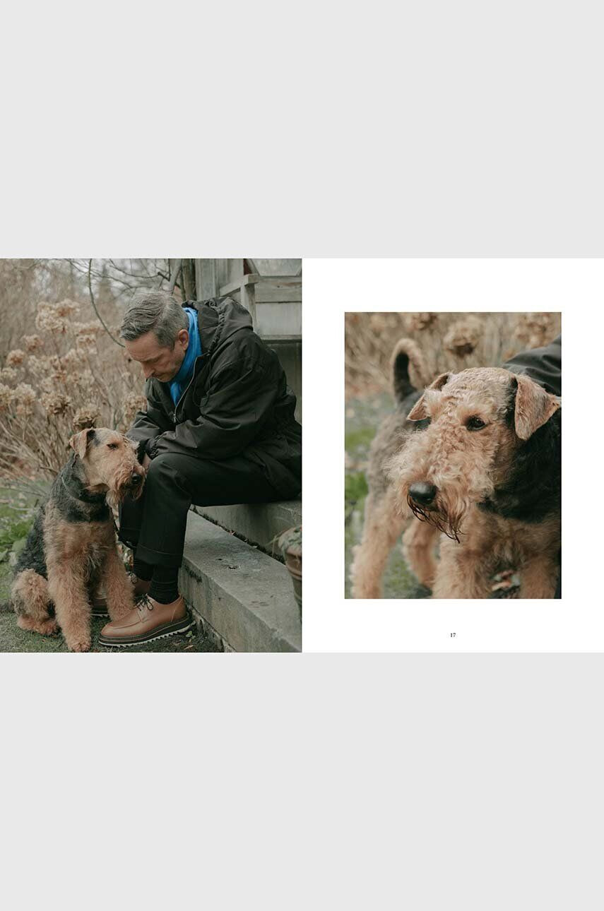 Inne Kniha DOG - Stories of Dog Ownership by Julian Victoria English - Pepit.sk