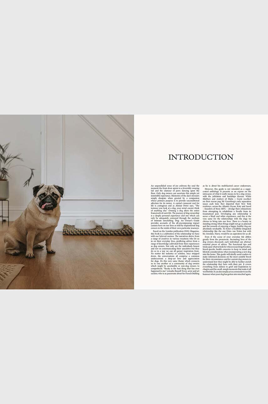 Inne Kniha DOG - Stories of Dog Ownership by Julian Victoria English - Pepit.sk