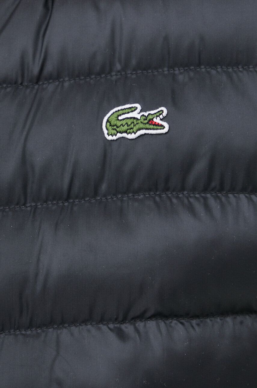 Lacoste Vesta - Pepit.sk