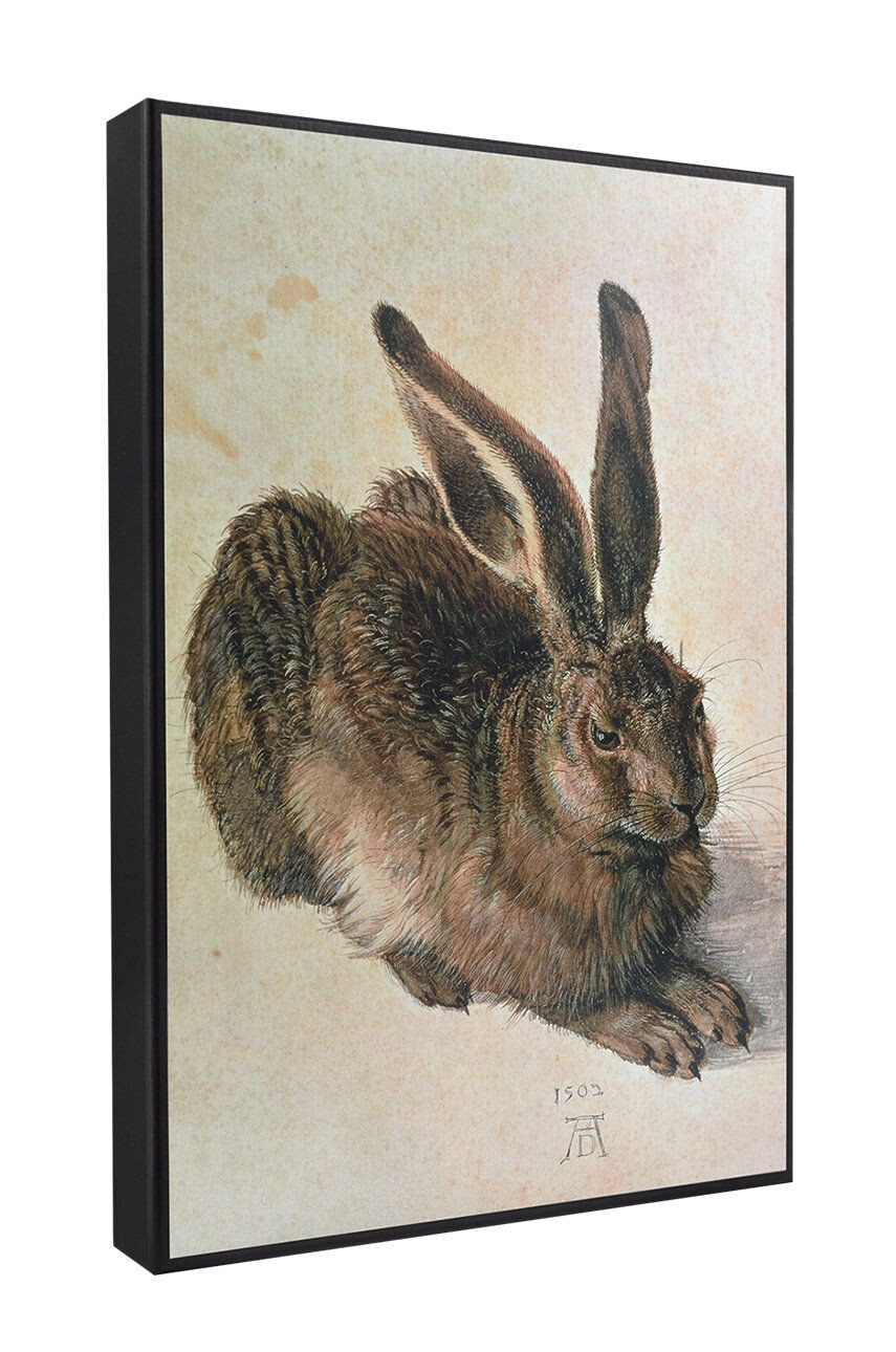 MuseArta Darčeková krabička Albrecht Dürer - Young Hare - Pepit.sk