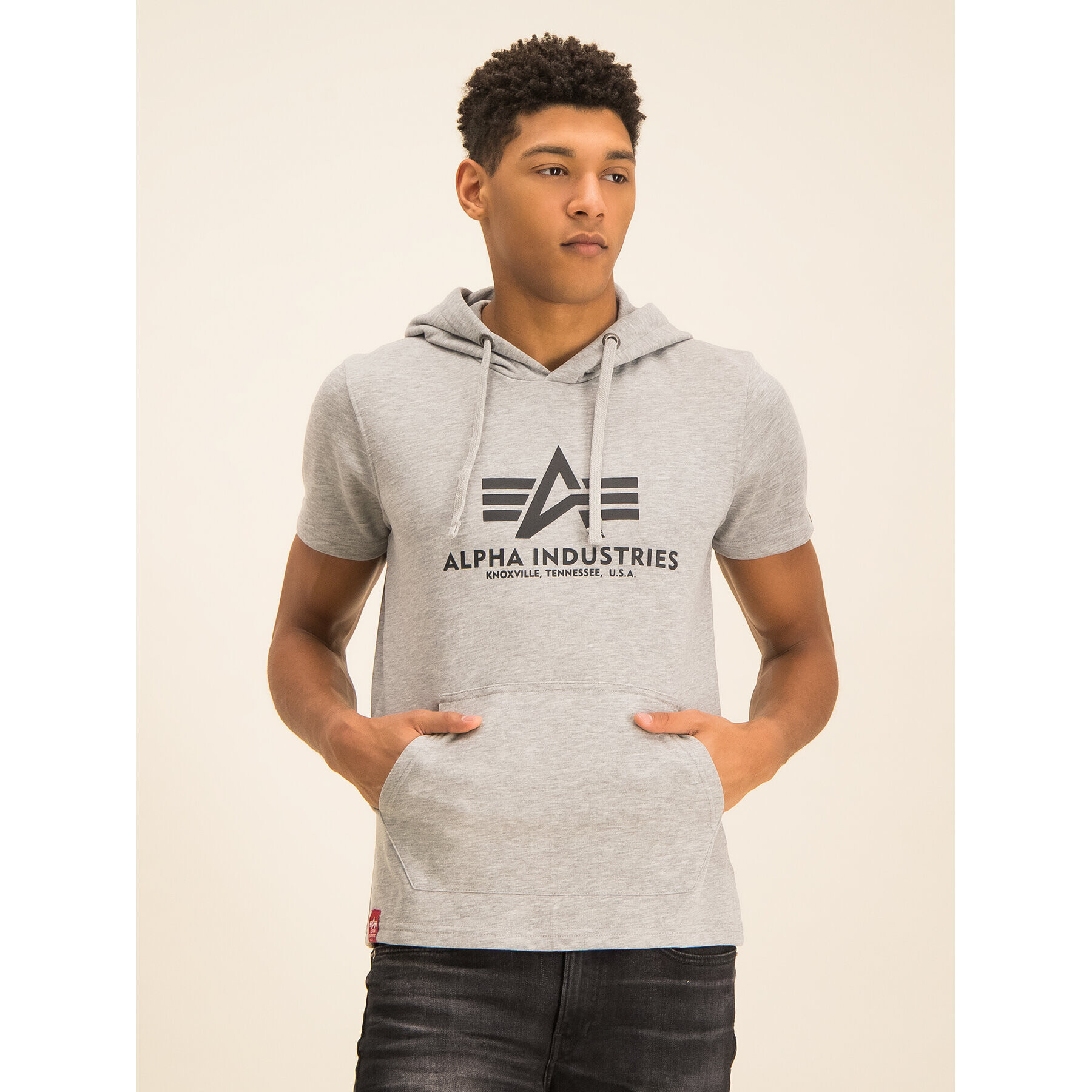 Alpha Industries Mikina Basic T Hooded 126507 Sivá Regular Fit - Pepit.sk