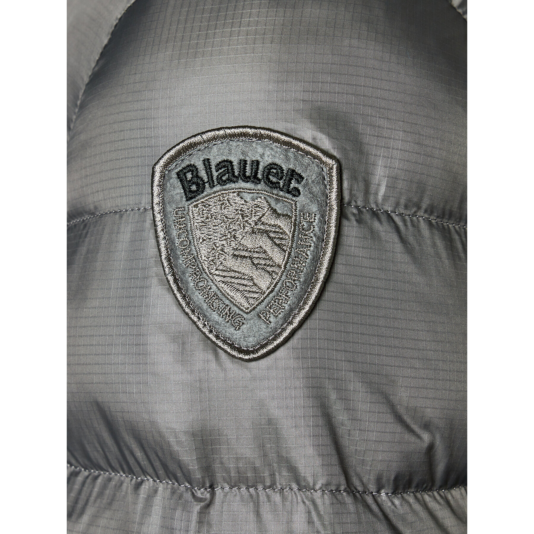 Blauer Vatovaná bunda 23WBLUC02083 Sivá Regular Fit - Pepit.sk