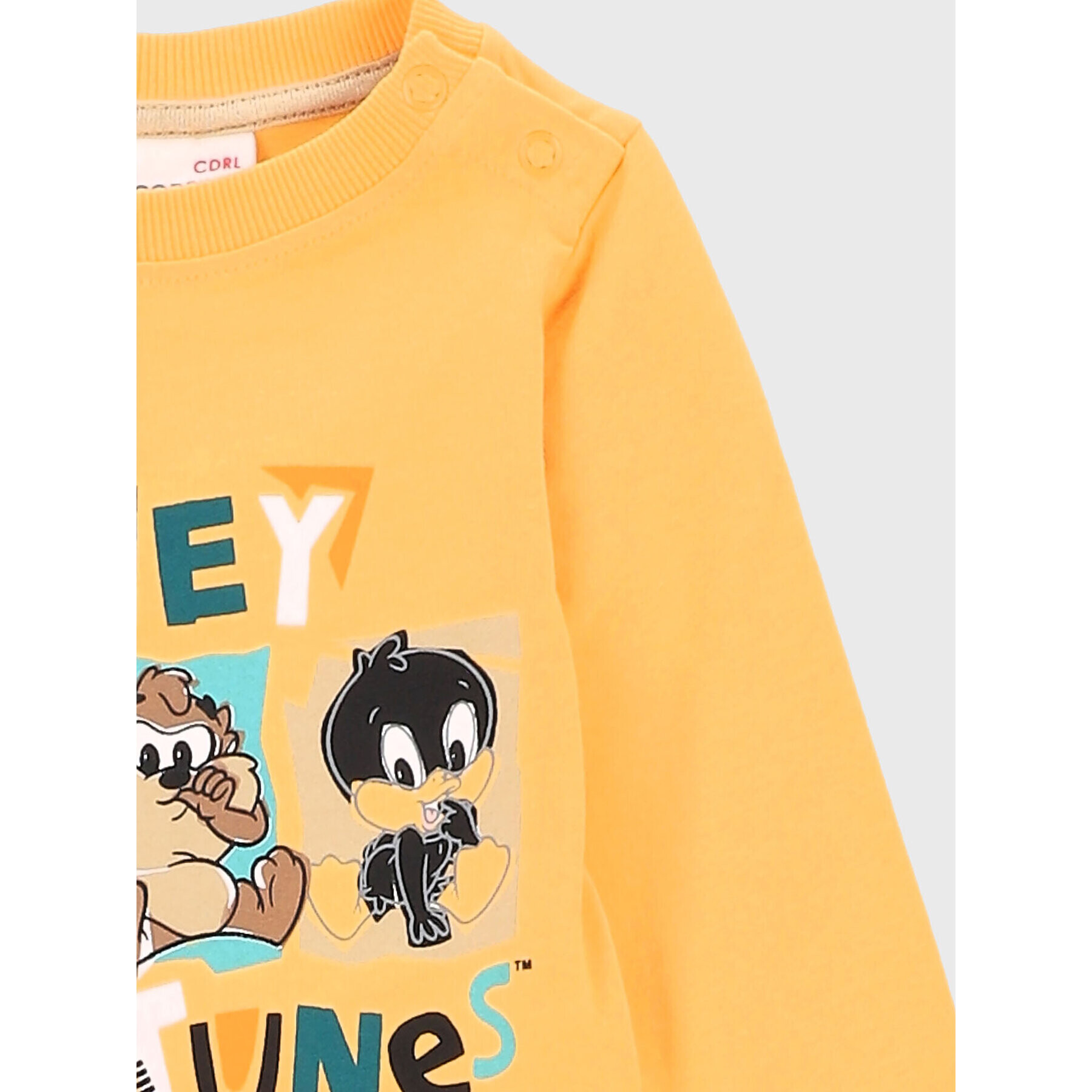 Coccodrillo Body LOONEY TUNES ZC2112106LIB Oranžová Regular Fit - Pepit.sk