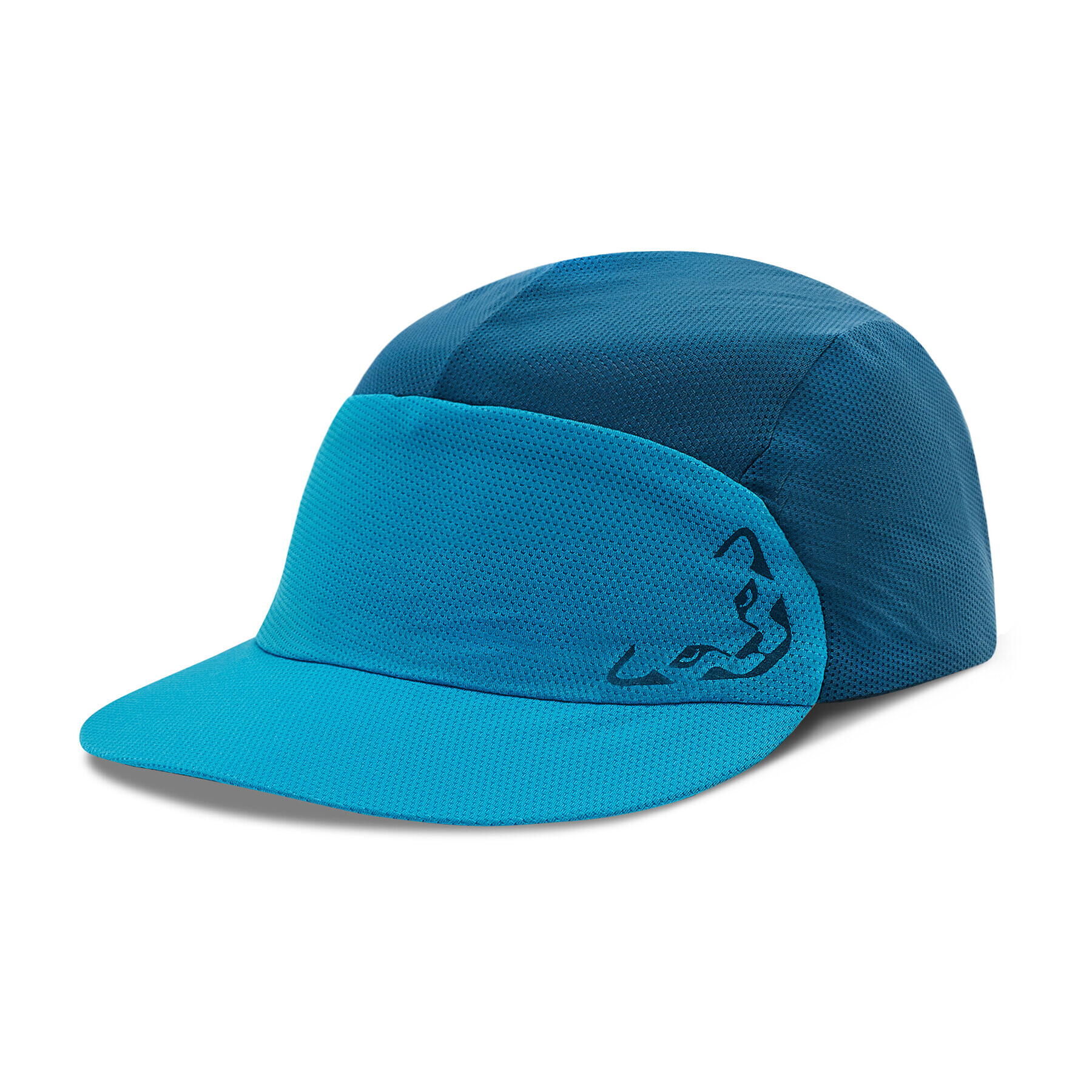 Dynafit Šiltovka Alpine Visor Cap 08-71470 Modrá - Pepit.sk