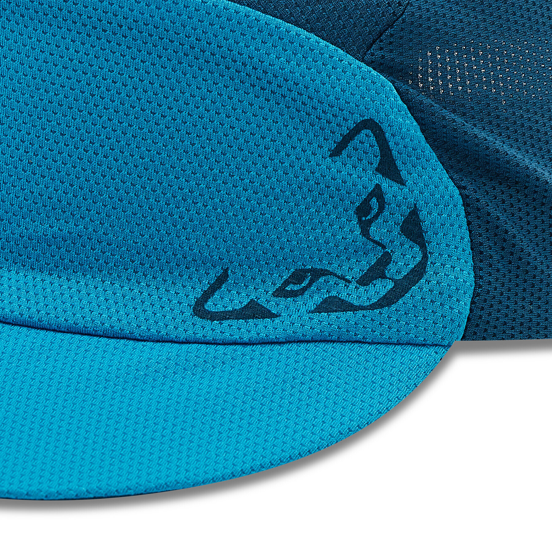 Dynafit Šiltovka Alpine Visor Cap 08-71470 Modrá - Pepit.sk