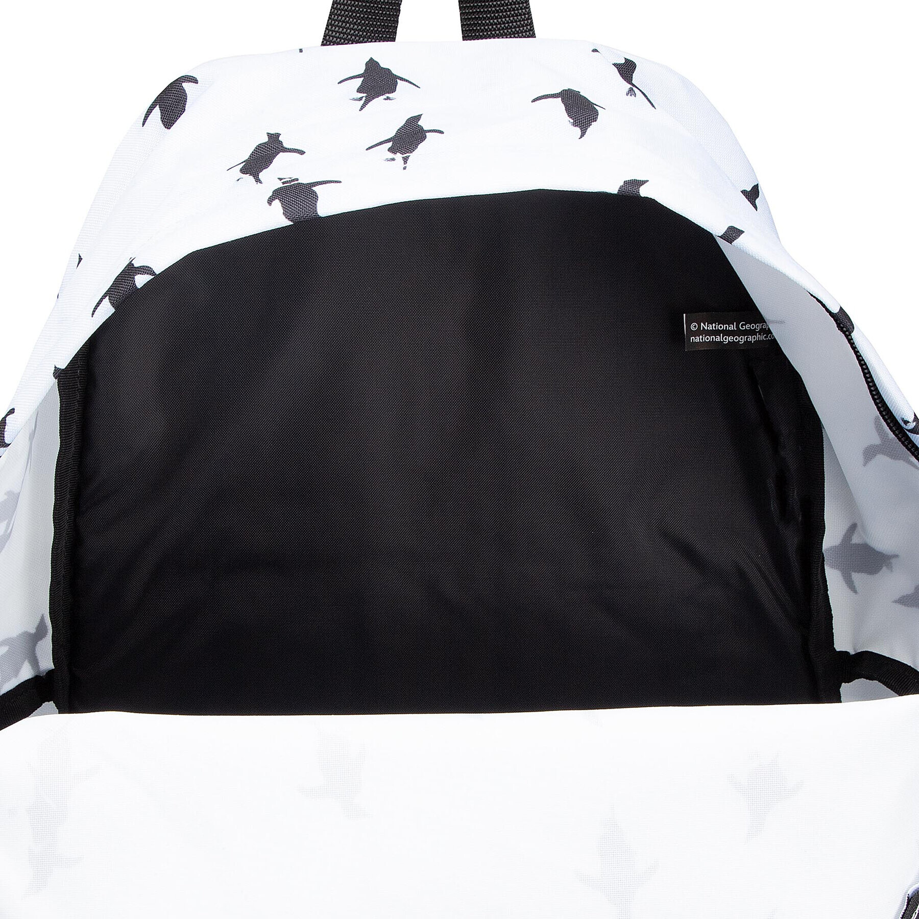 Eastpak Ruksak Padded Pak'r EK000620 Modrá - Pepit.sk