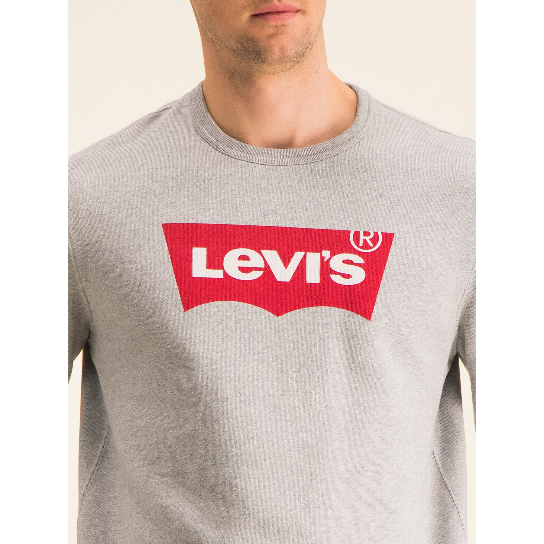 Levi's® Mikina Graphic Crew 17895-0079 Sivá Regular Fit - Pepit.sk