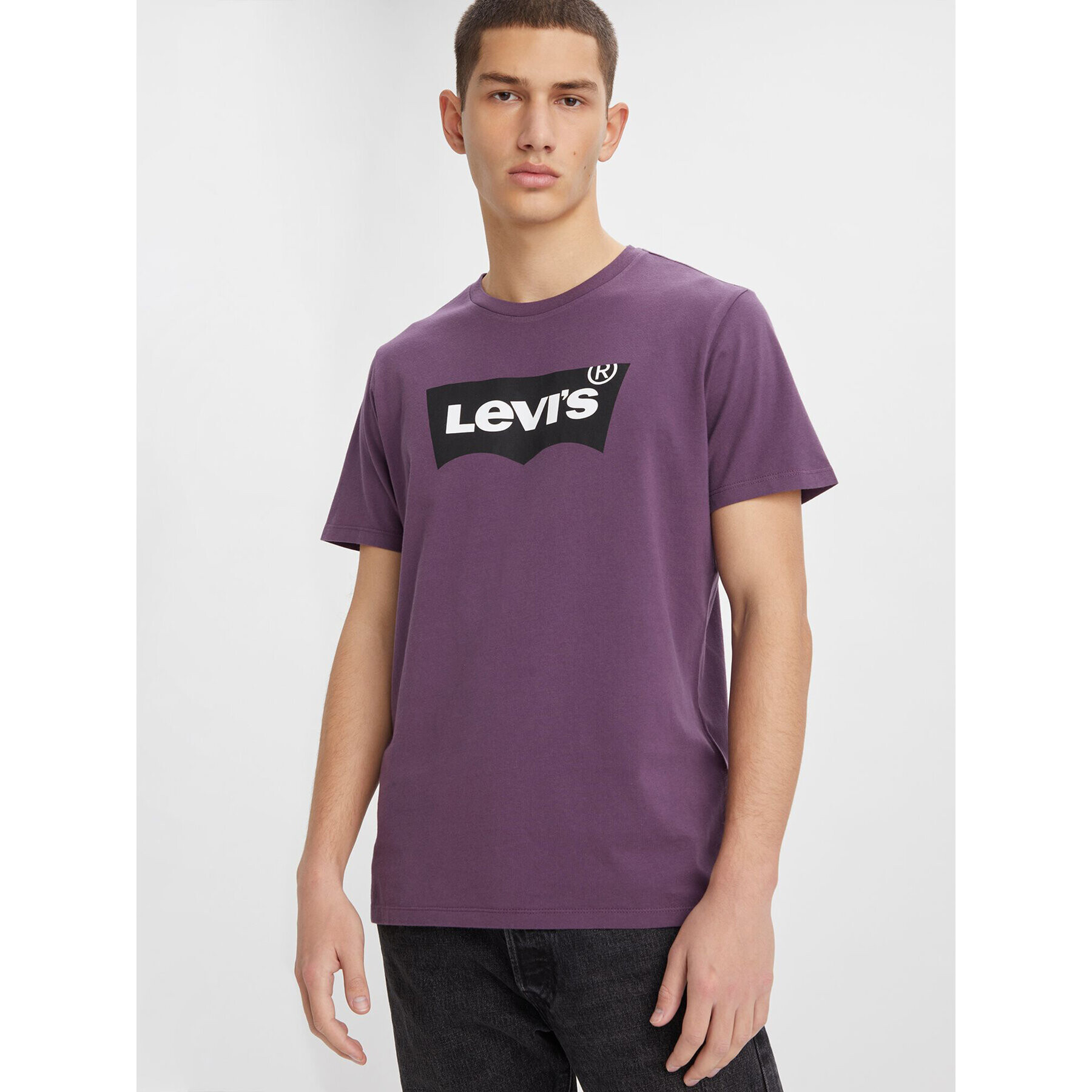 Levi's® Tričko Classic Graphic Tee 224911193 Fialová Regular Fit - Pepit.sk