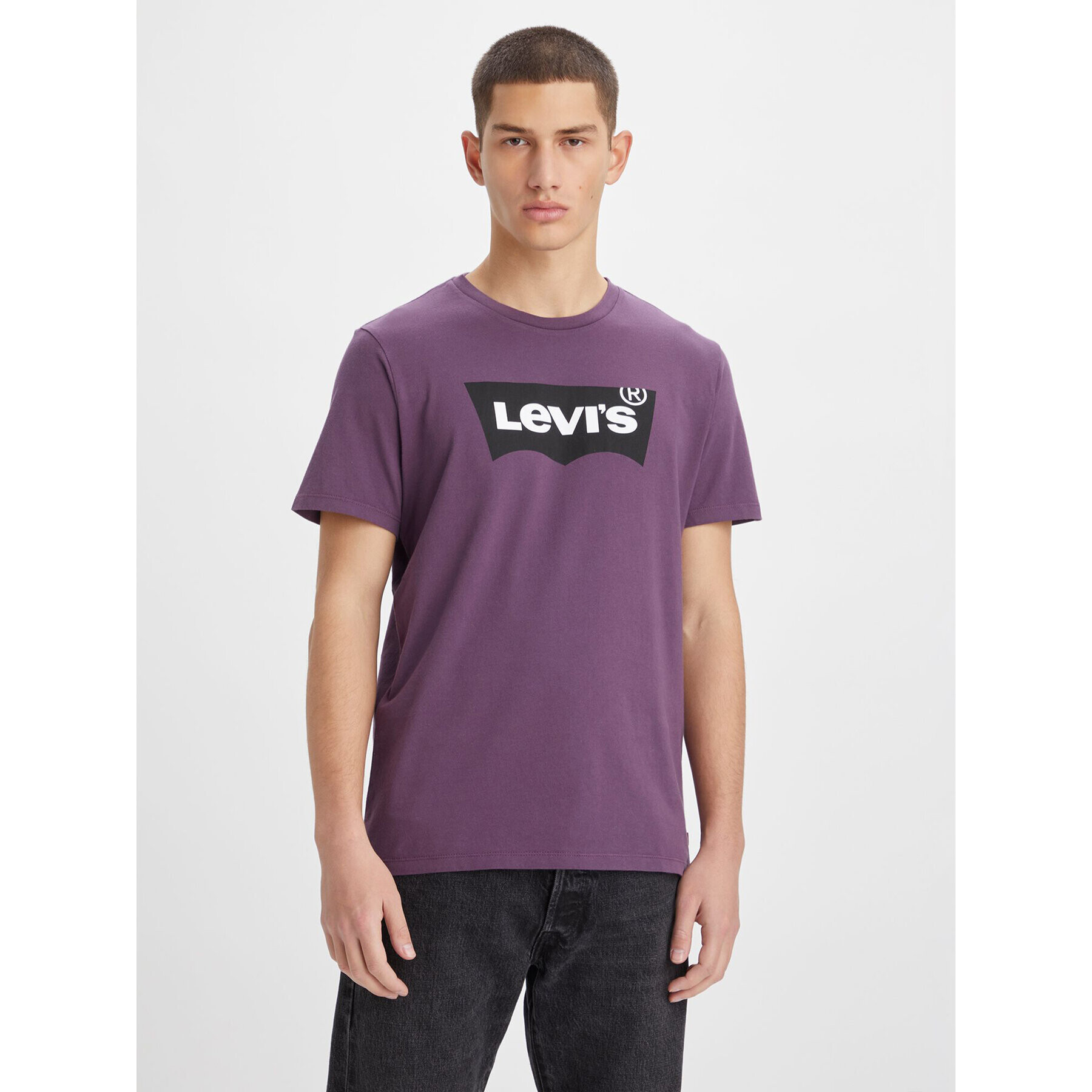 Levi's® Tričko Classic Graphic Tee 224911193 Fialová Regular Fit - Pepit.sk