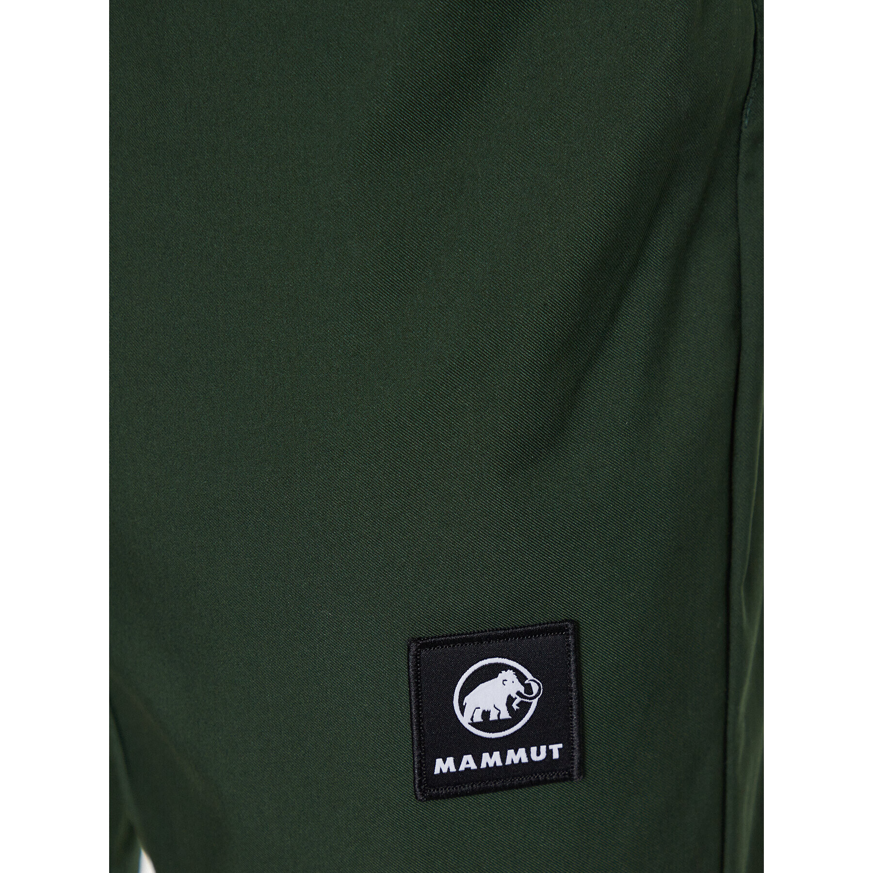 Mammut Športové kraťasy 1023-00940 Zelená Regular Fit - Pepit.sk