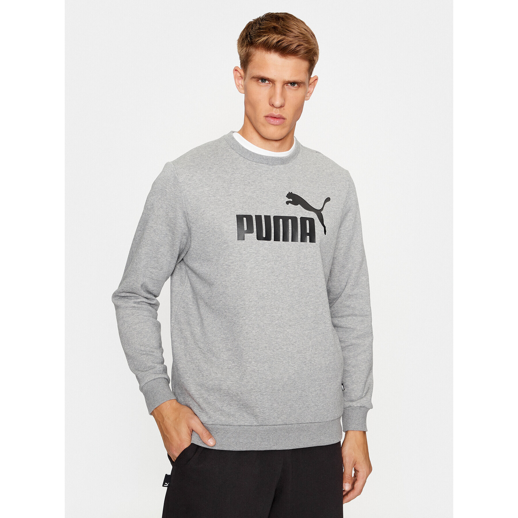 Puma Mikina Ess Big Logo 586678 Sivá Regular Fit - Pepit.sk