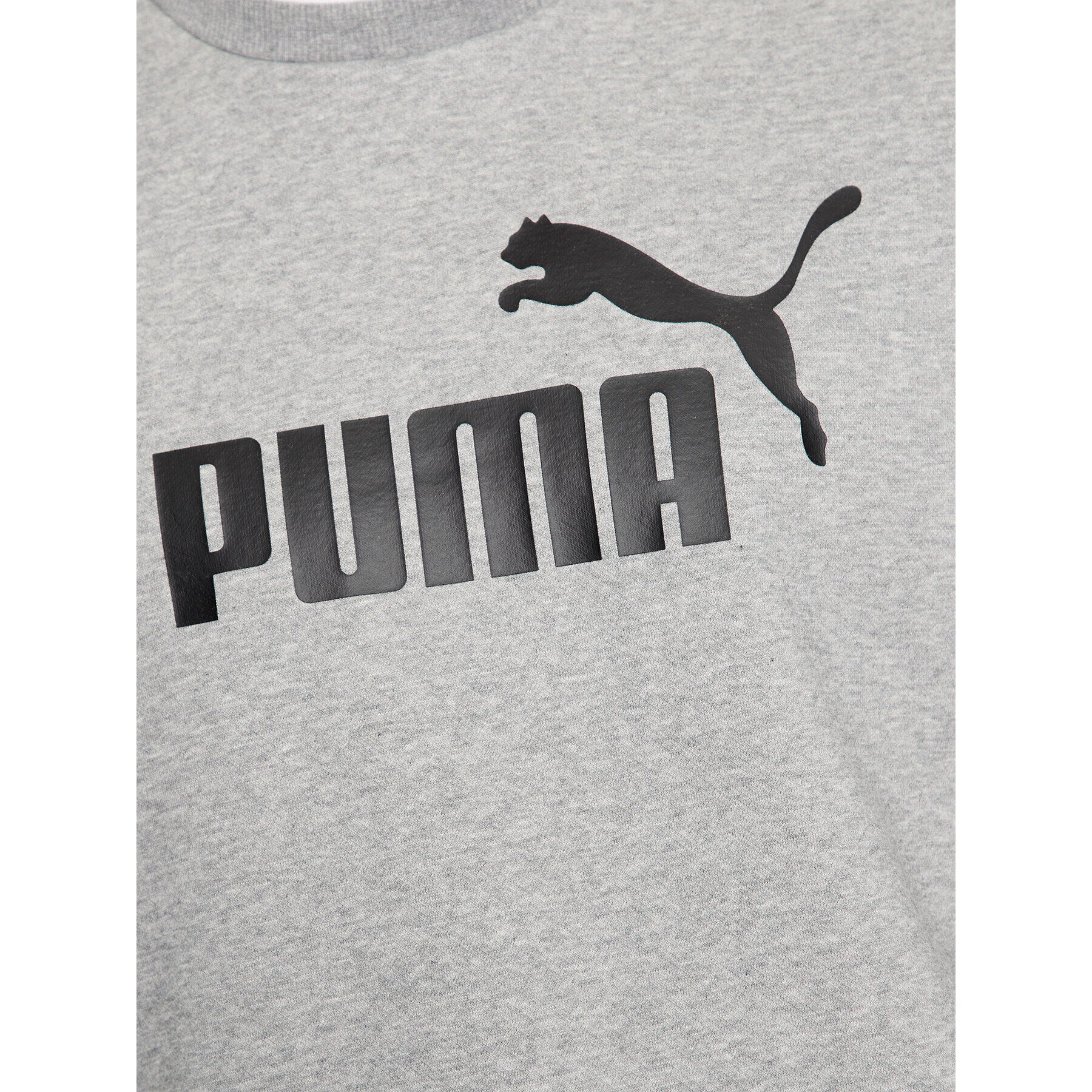 Puma Mikina Ess Big Logo 586678 Sivá Regular Fit - Pepit.sk