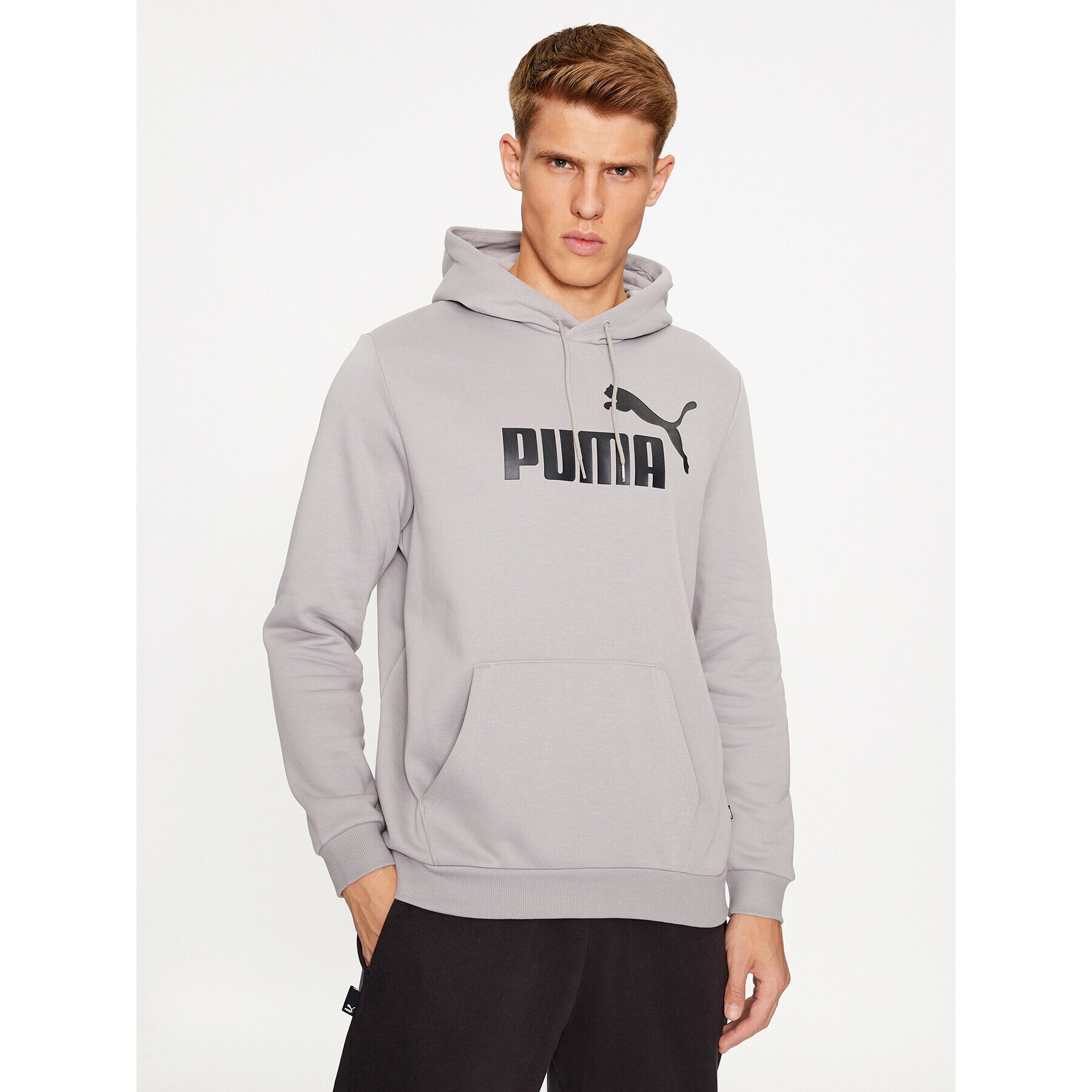 Puma Mikina Ess Big Logo 586687 Sivá Regular Fit - Pepit.sk