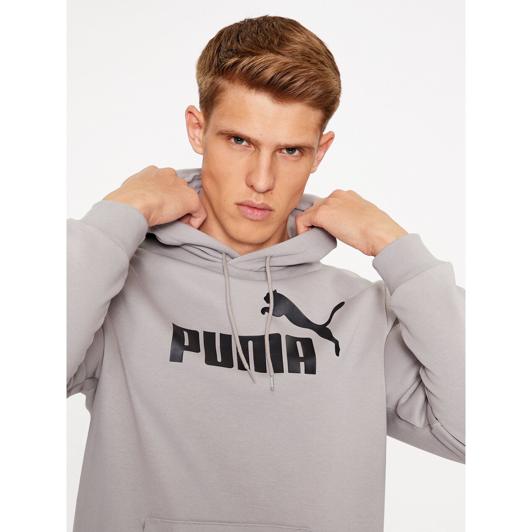 Puma Mikina Ess Big Logo 586687 Sivá Regular Fit - Pepit.sk