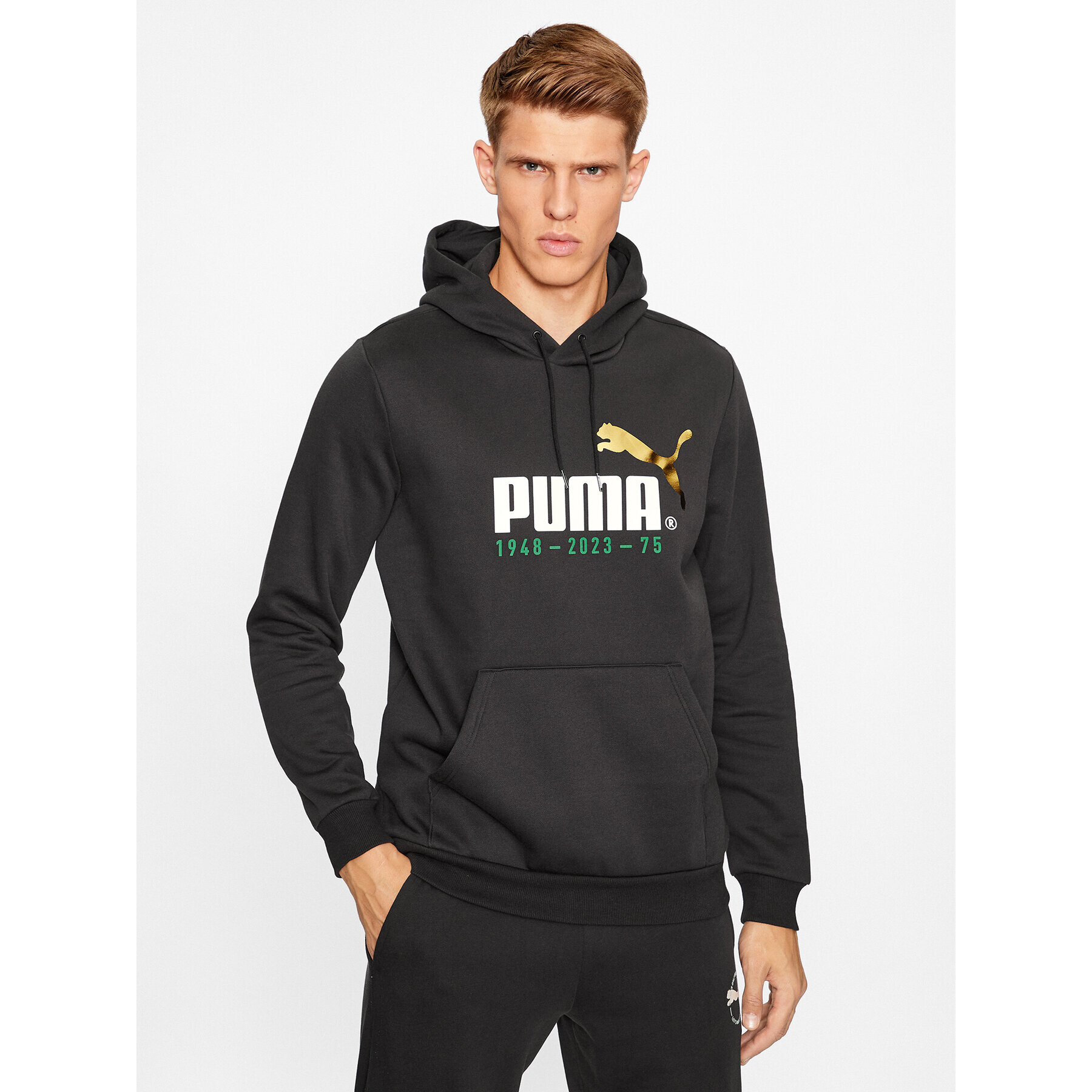 Puma Mikina No. 1 Logo Celebration 676021 Čierna Regular Fit - Pepit.sk