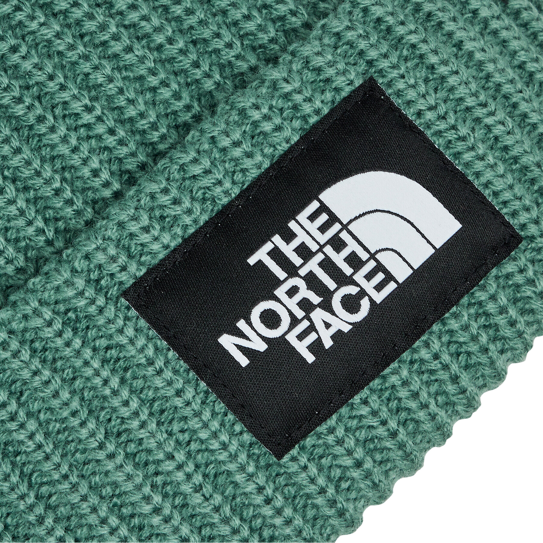 The North Face Čiapka Salty Lined BeanieNF0A3FJWI0F1 Zelená - Pepit.sk