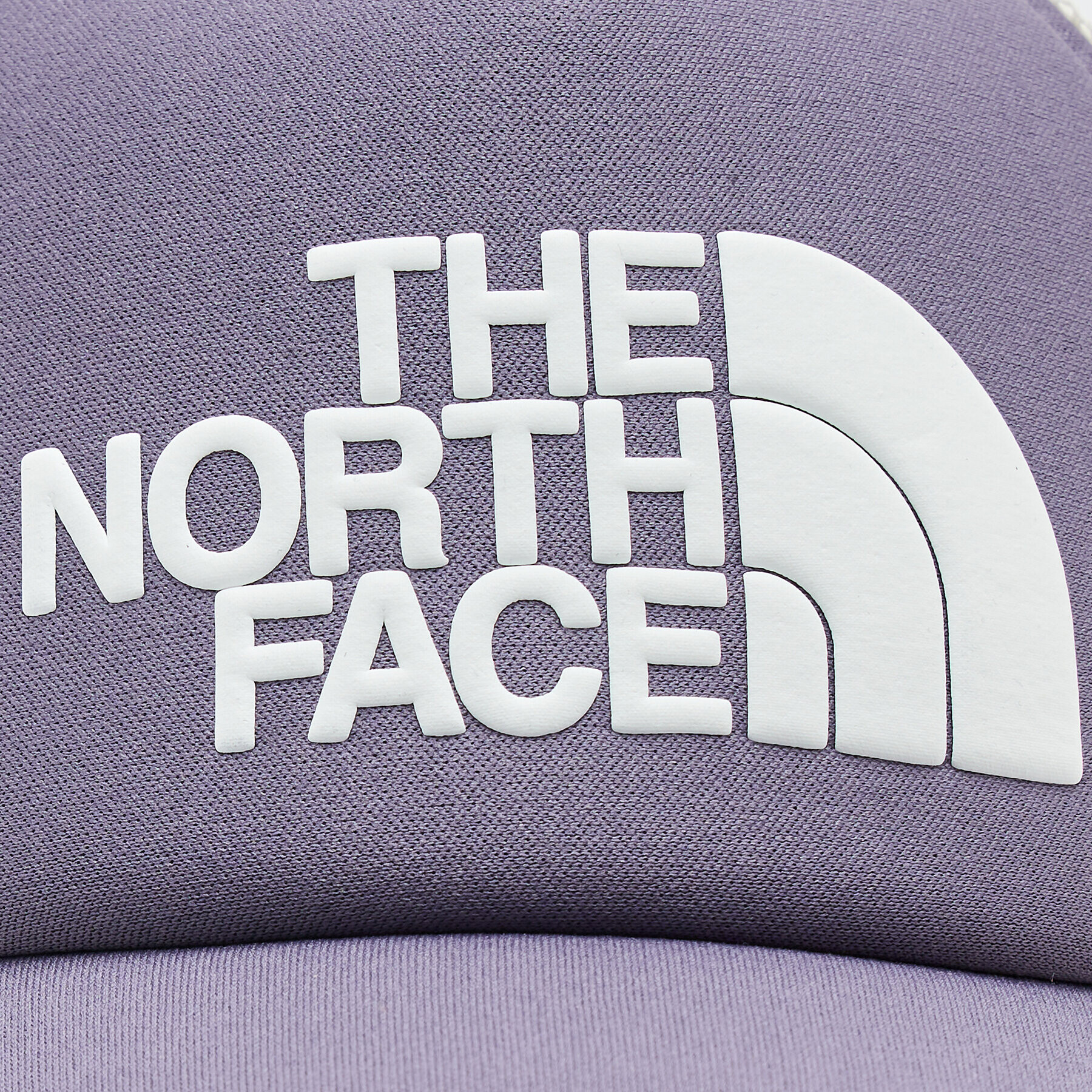 The North Face Šiltovka Tnf Logo NF0A3FM3N141 Fialová - Pepit.sk