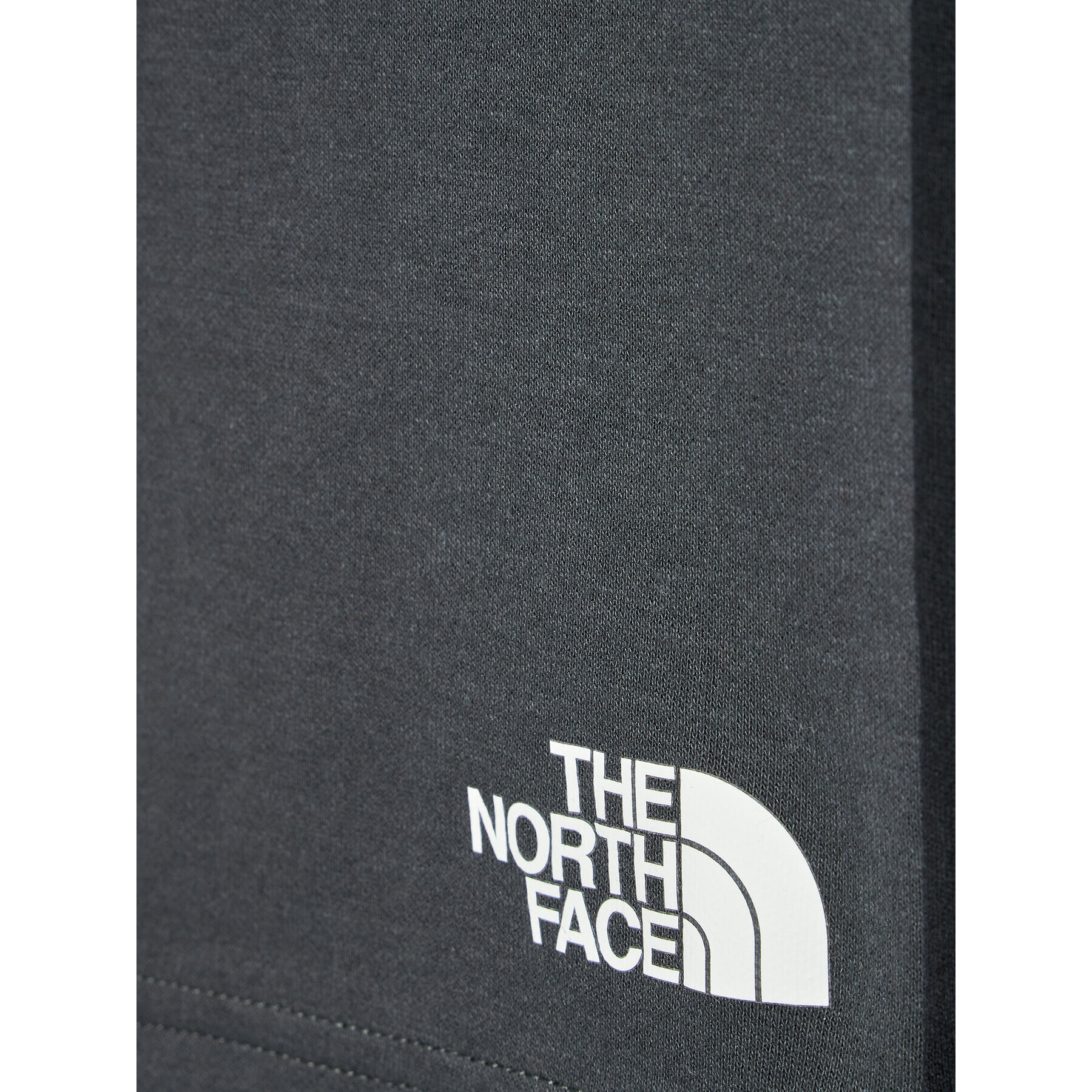 The North Face Športové kraťasy Slacker NF0A53CK Sivá Regular Fit - Pepit.sk