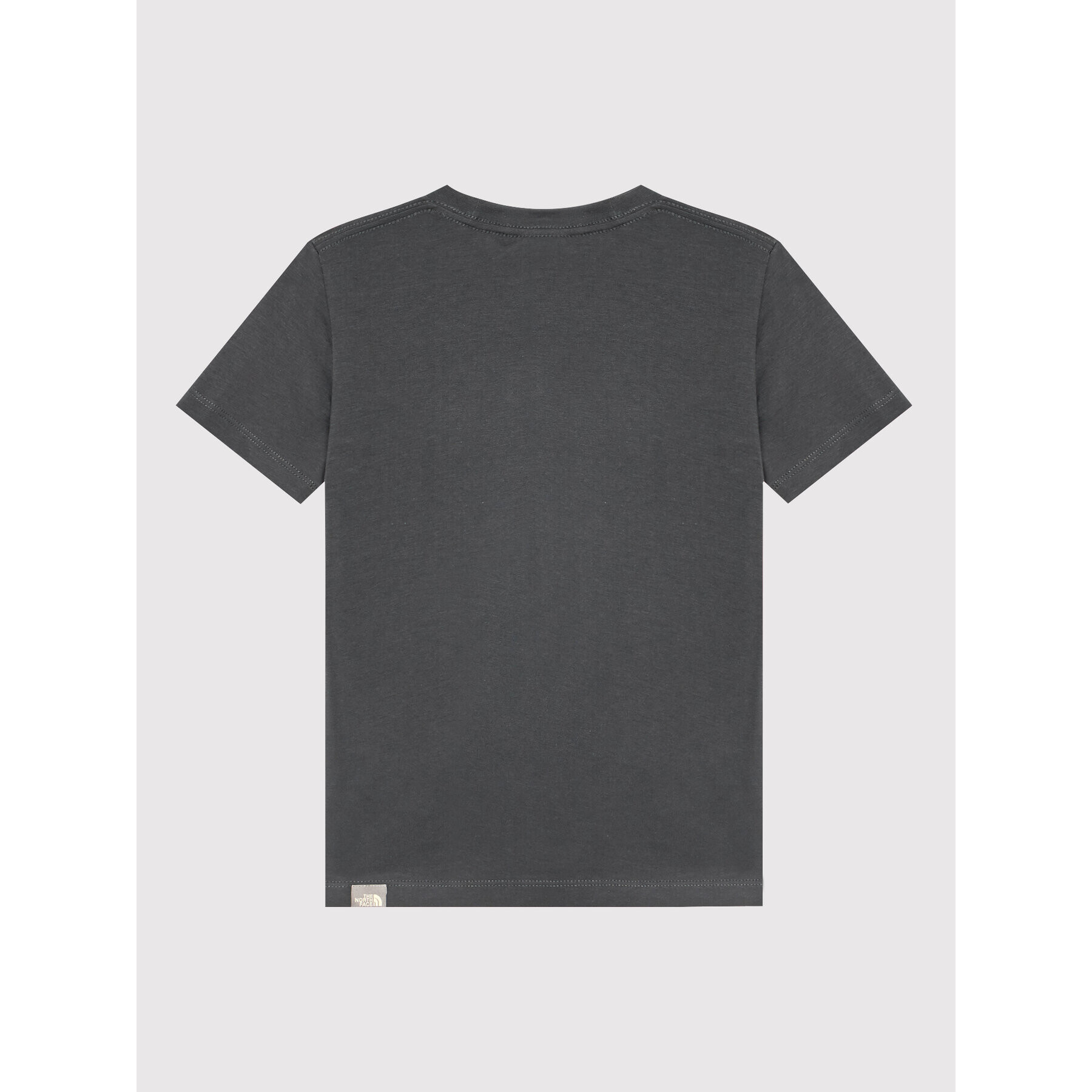 The North Face Tričko Easy Tee NF00A3P7 Sivá Regular Fit - Pepit.sk